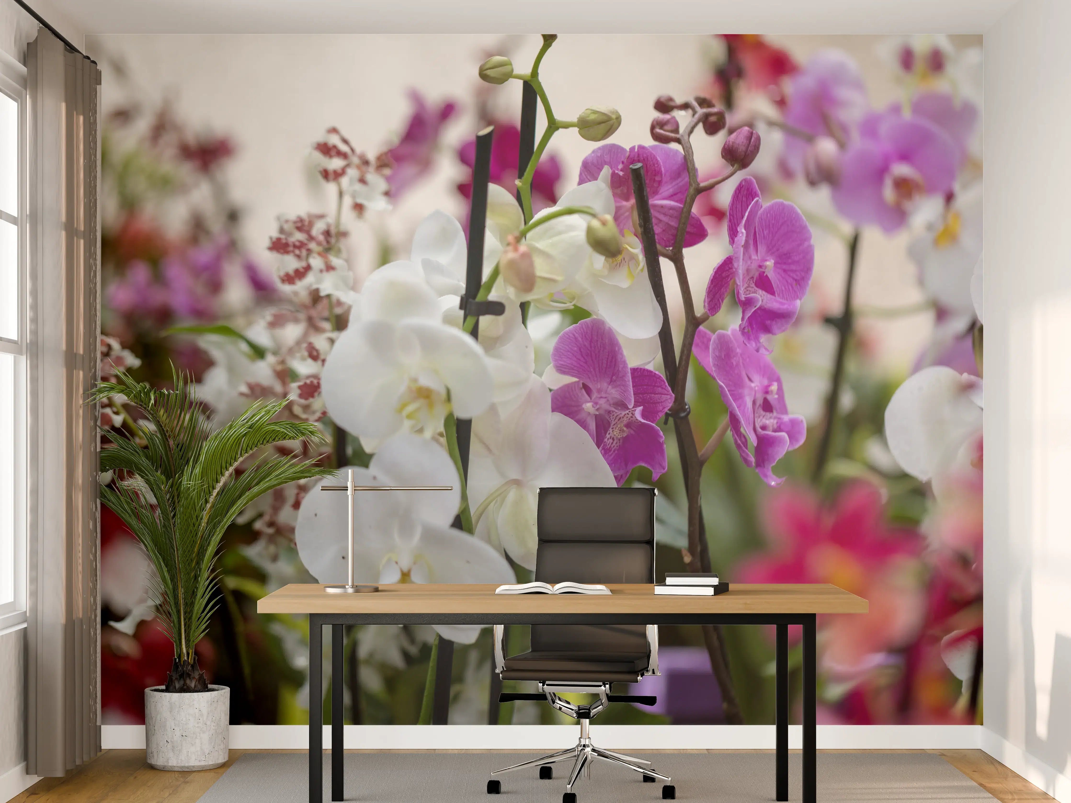 Büro Wandgestaltung - Nahaufnahme von bunten Orchideen