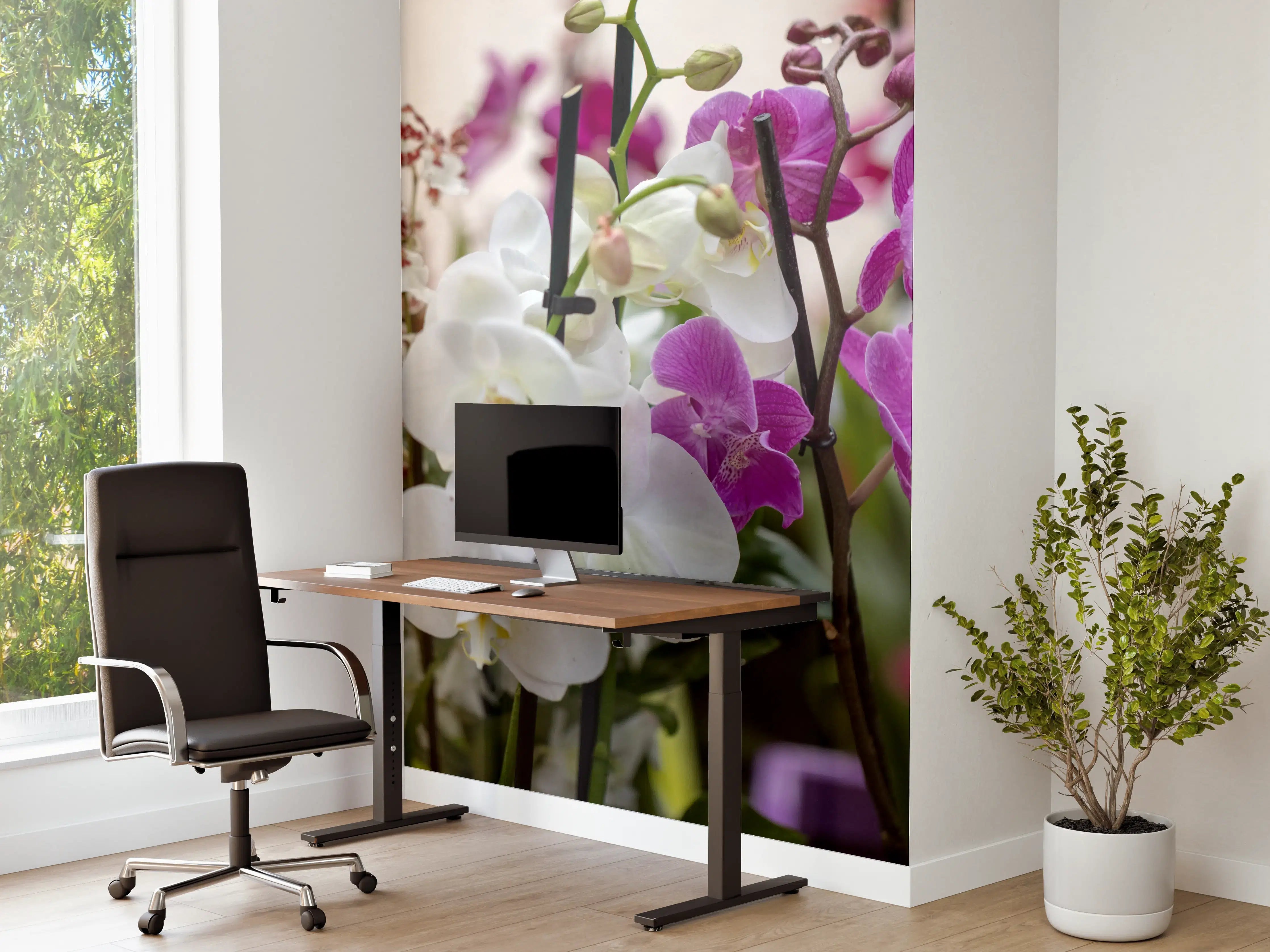 Büro Wandgestaltung - Nahaufnahme von bunten Orchideen