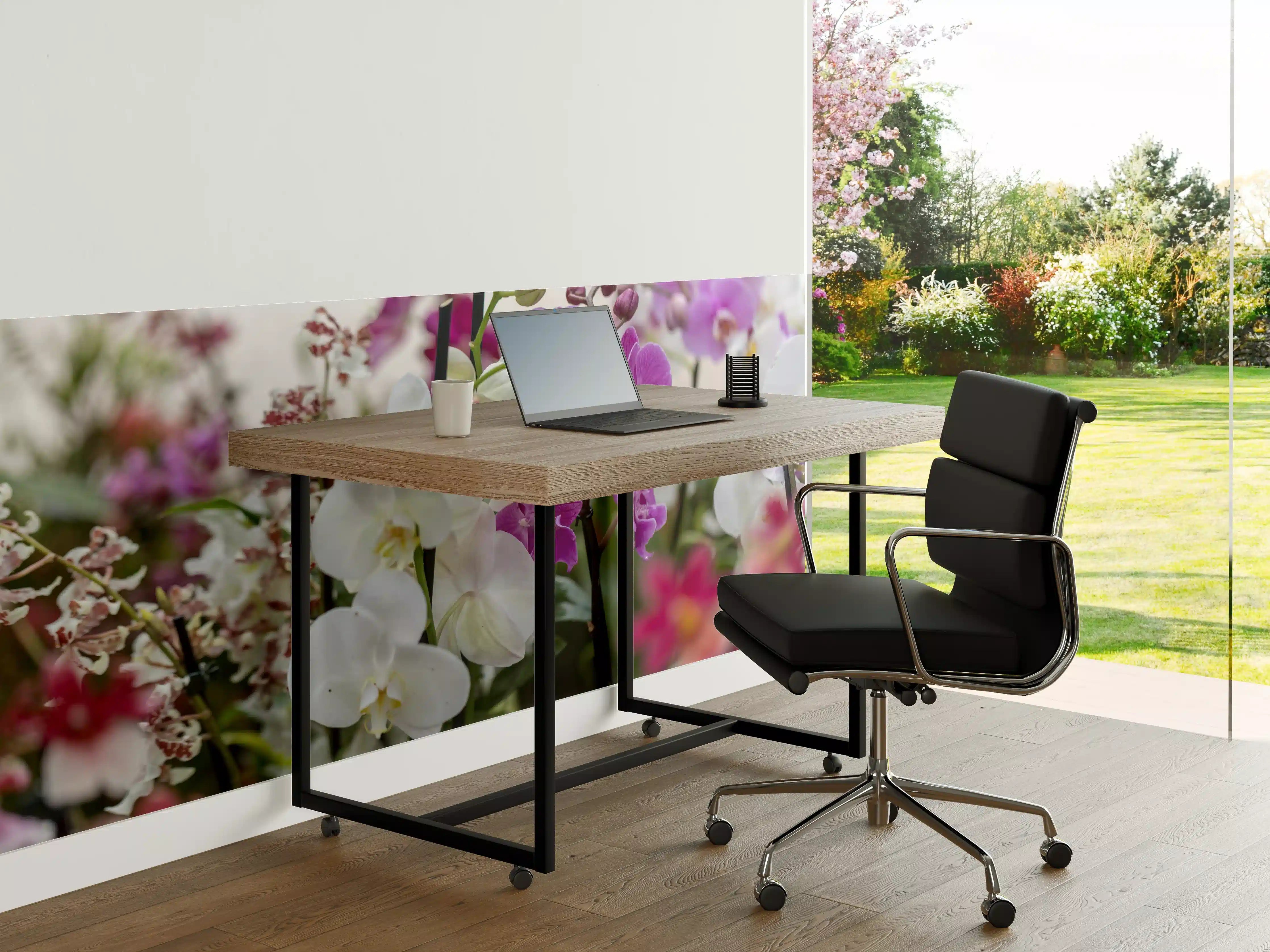 Büro Wandgestaltung - Nahaufnahme von bunten Orchideen