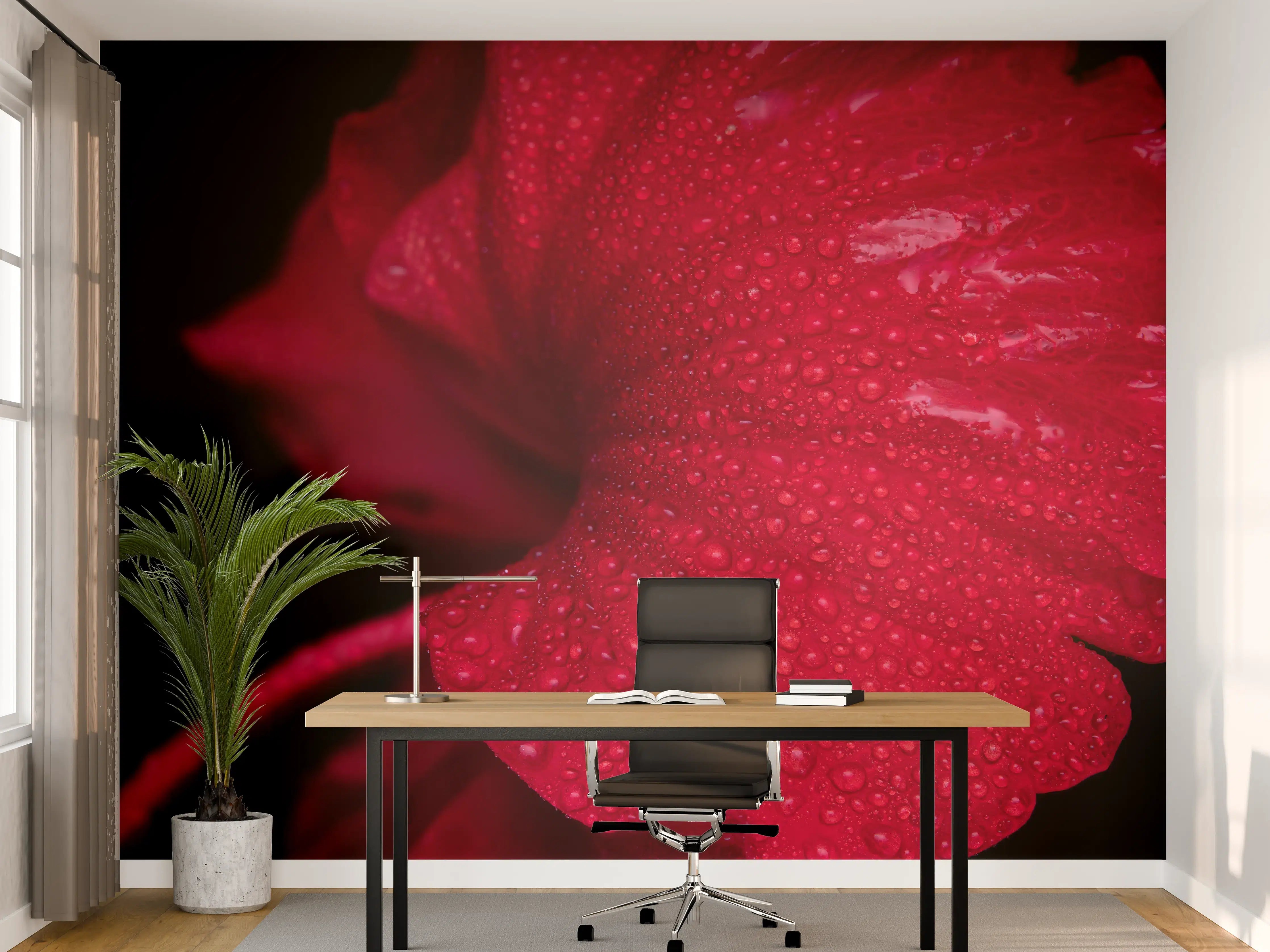 Büro Wandgestaltung - Nahaufnahme von rötlicher Frühlingsblume mit Regentropfen