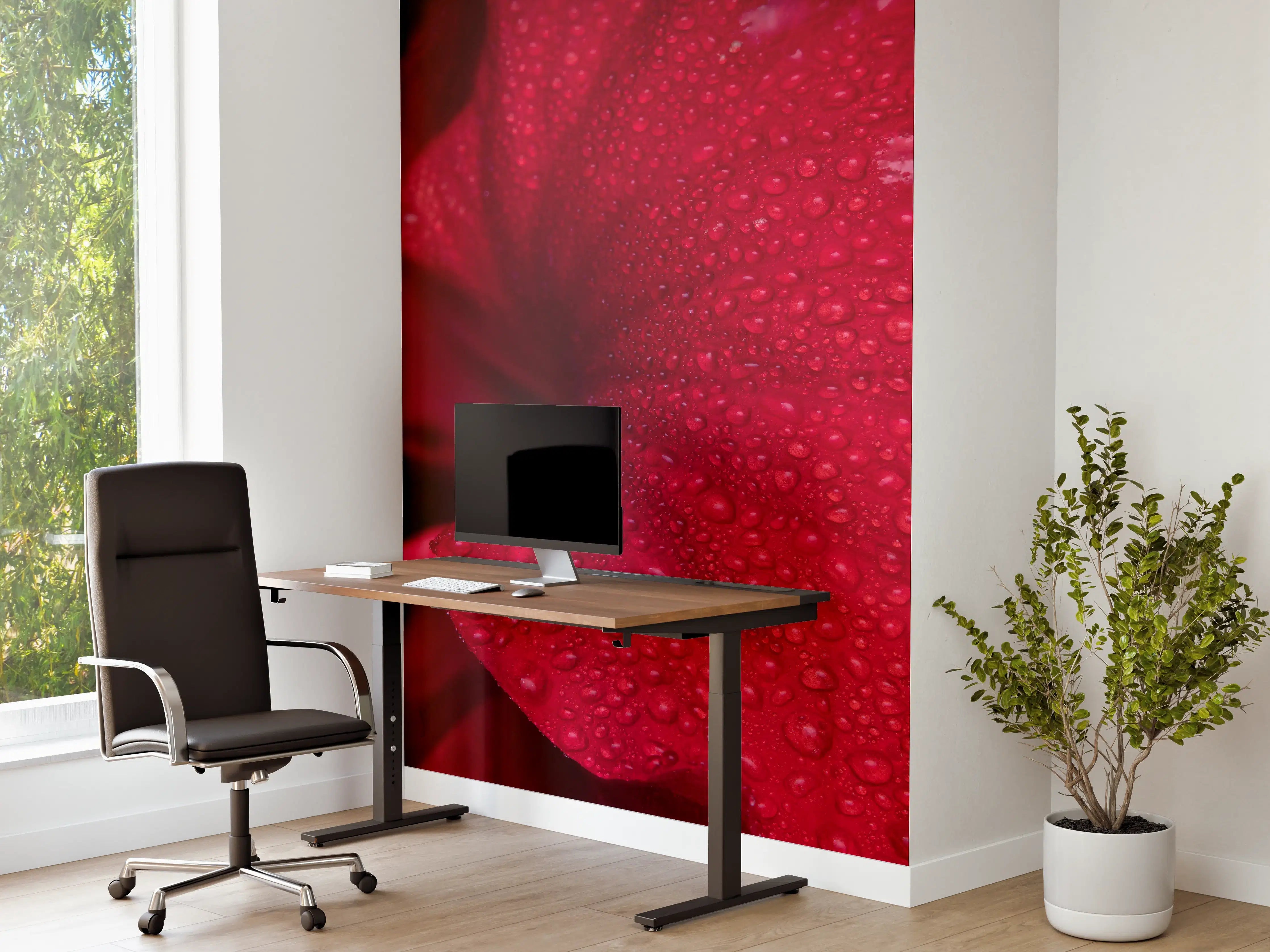 Büro Wandgestaltung - Nahaufnahme von rötlicher Frühlingsblume mit Regentropfen