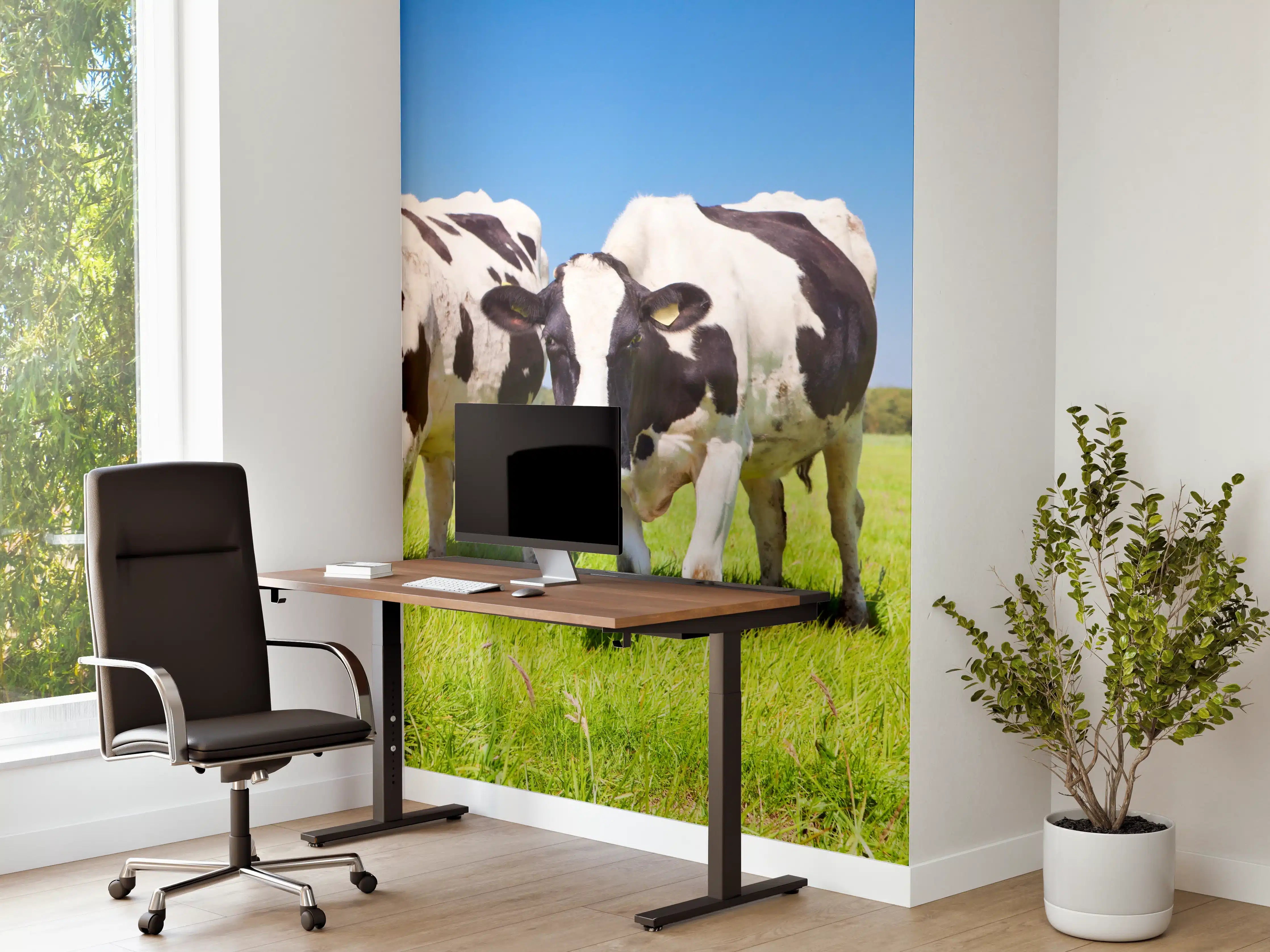 Büro Wandgestaltung - Naive Kühe auf grüner Weide bei Sonnenschein