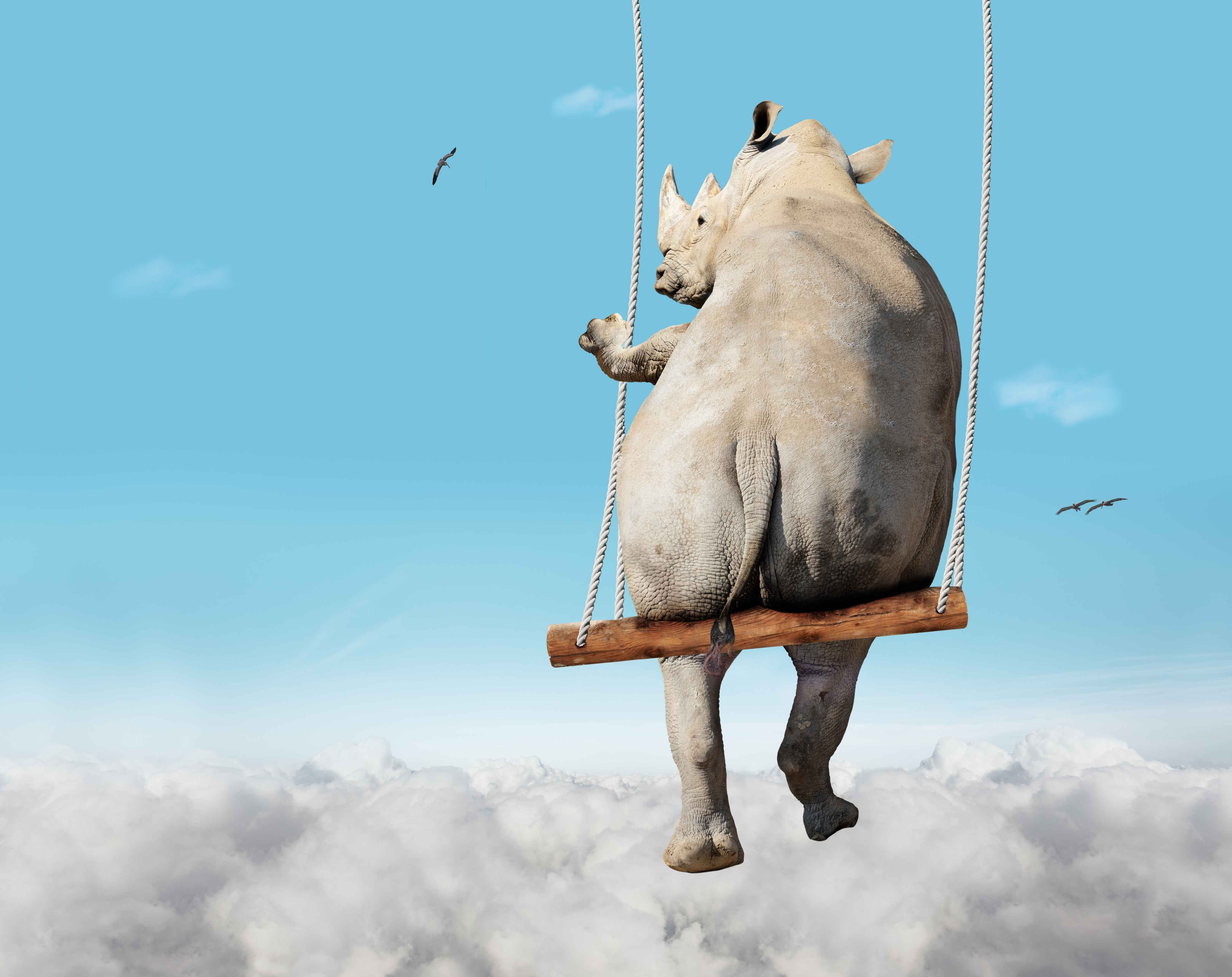 Büro Wandgestaltung-Nashorn schaukelt über den Wolken