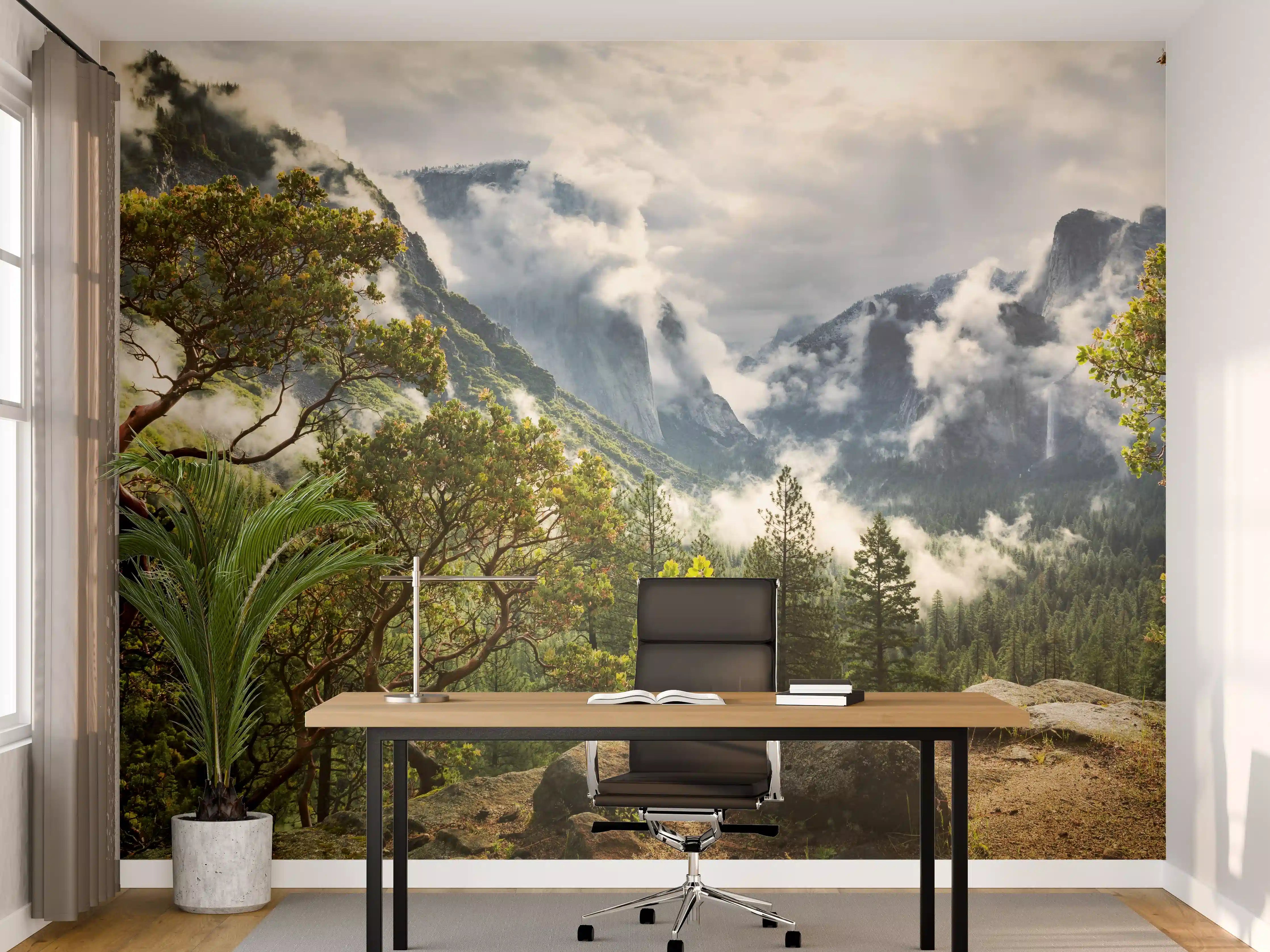 Büro Wandgestaltung - Nationalpark - Kalifornien, USA