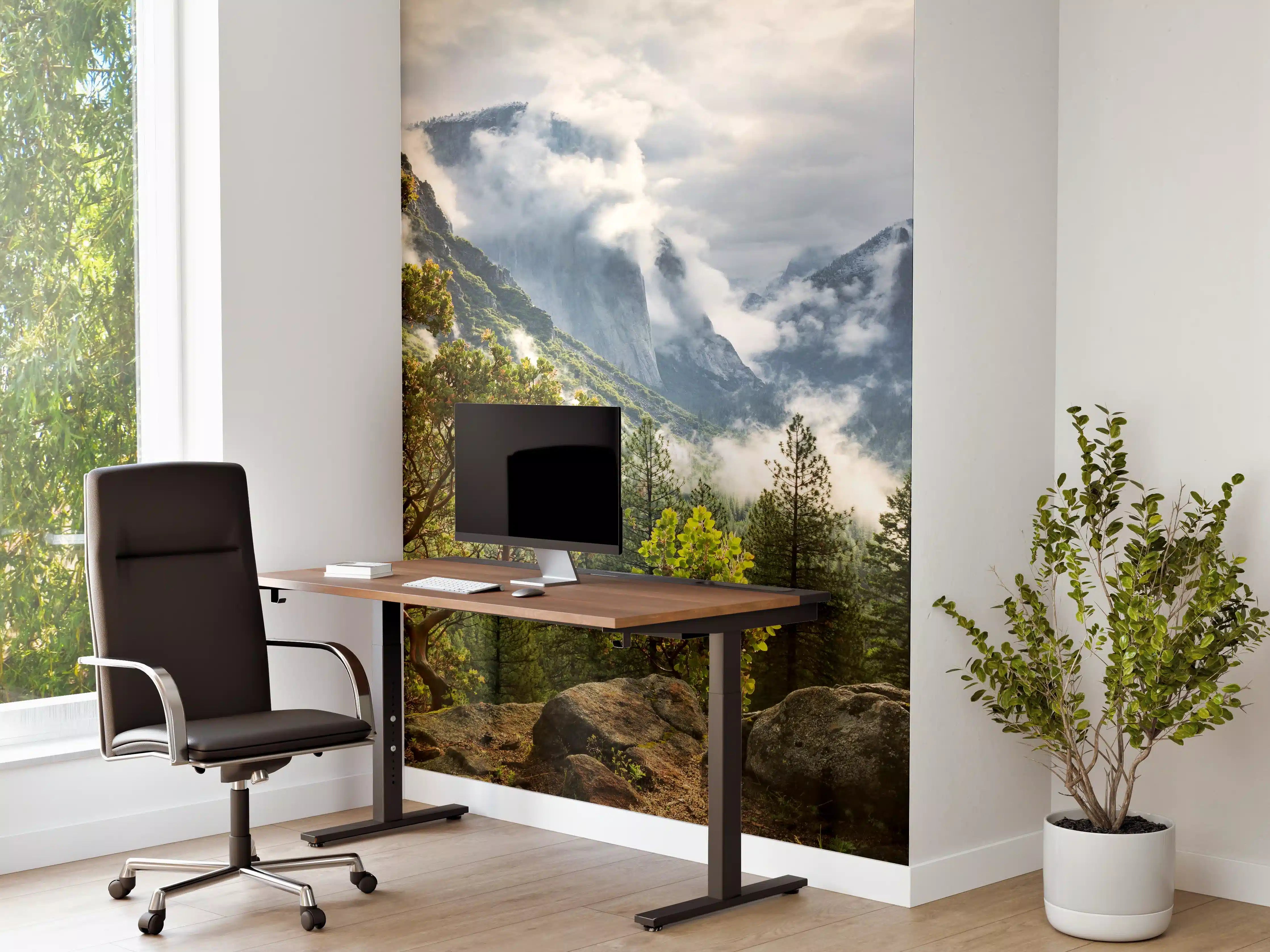 Büro Wandgestaltung - Nationalpark - Kalifornien, USA