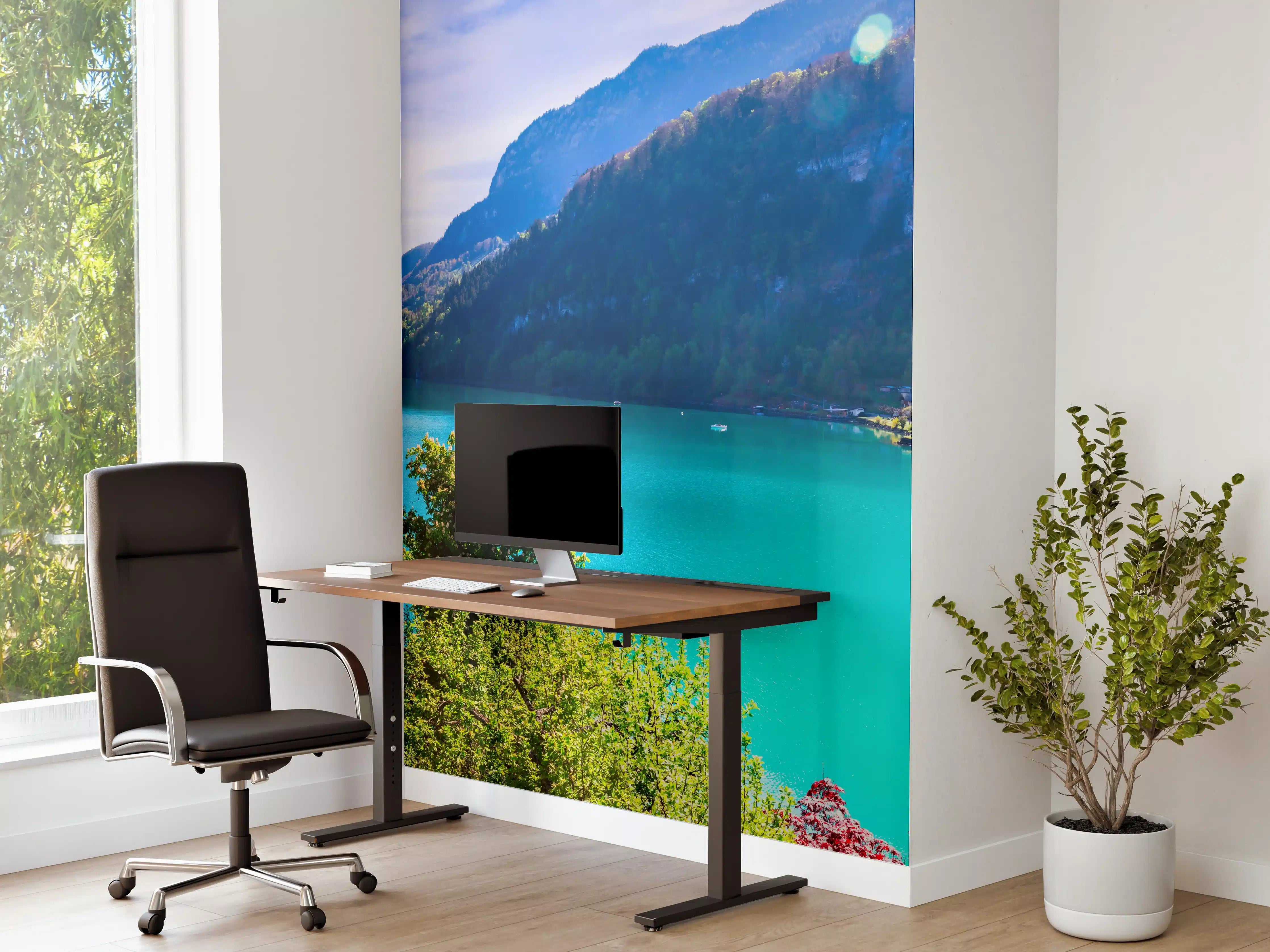 Büro Wandgestaltung - Naturkulisse des Brienzersees - Schweiz