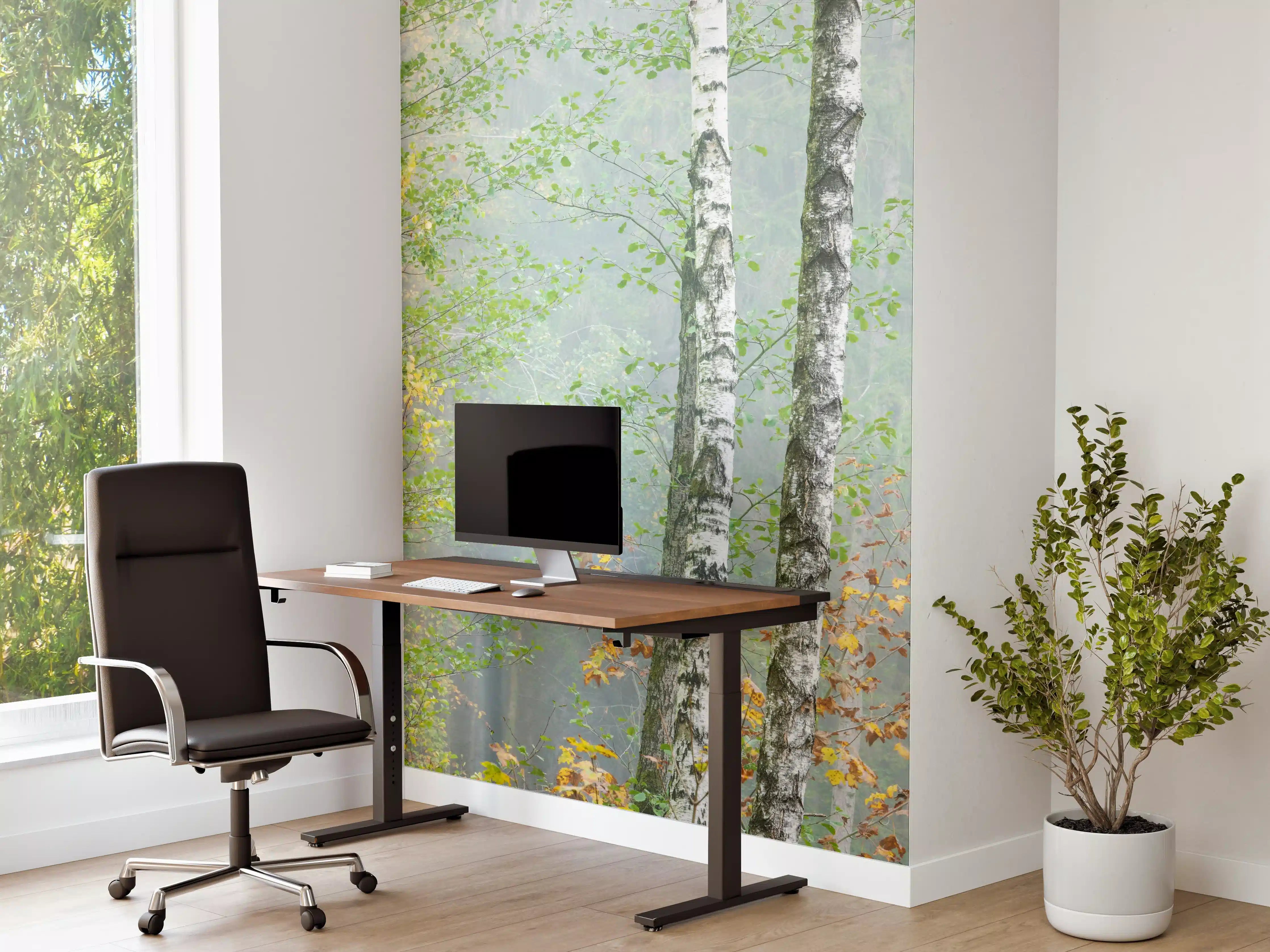 Büro Wandgestaltung - Nebeliger Birkenwald