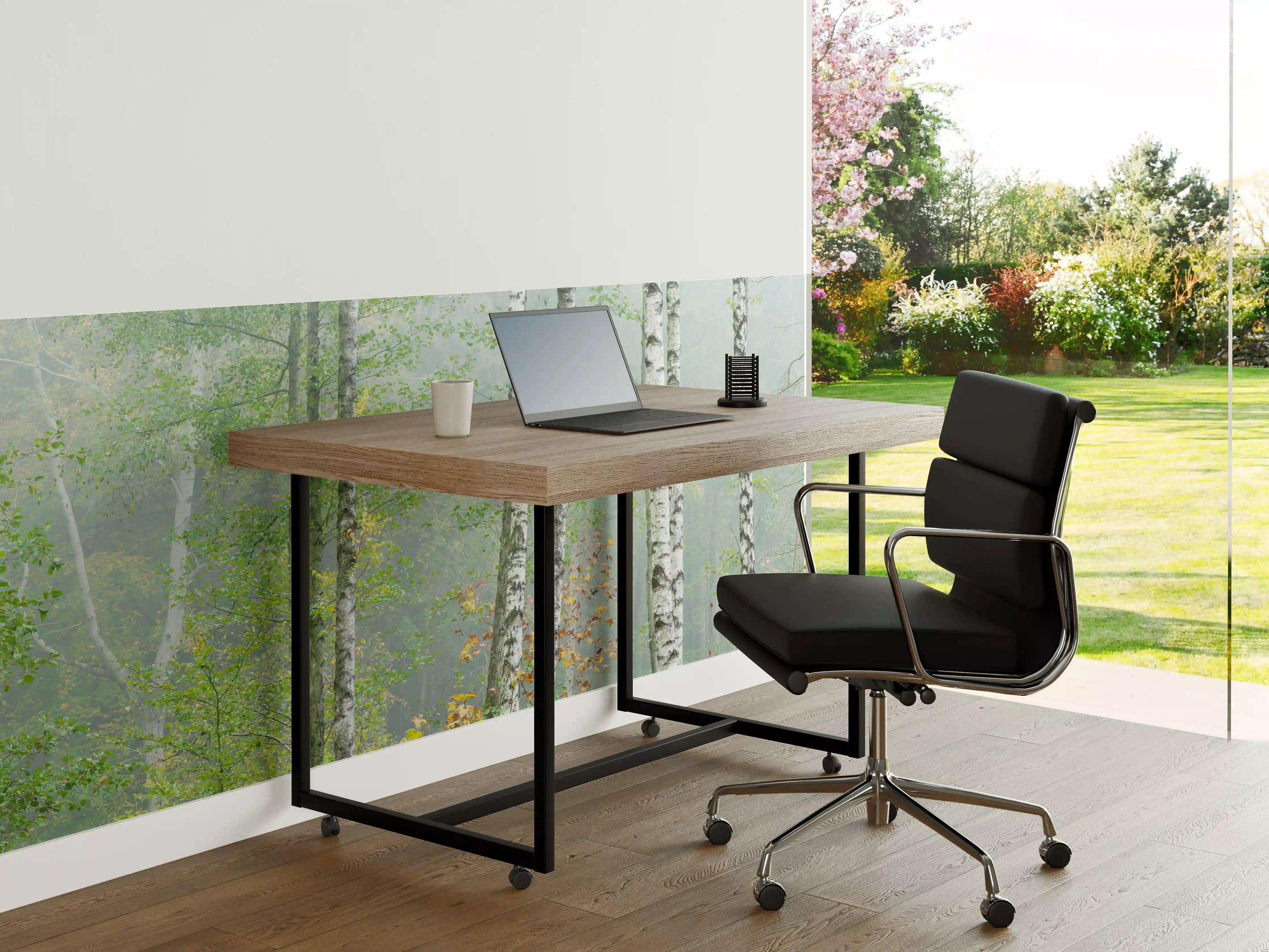 Büro Wandgestaltung - Nebeliger Birkenwald