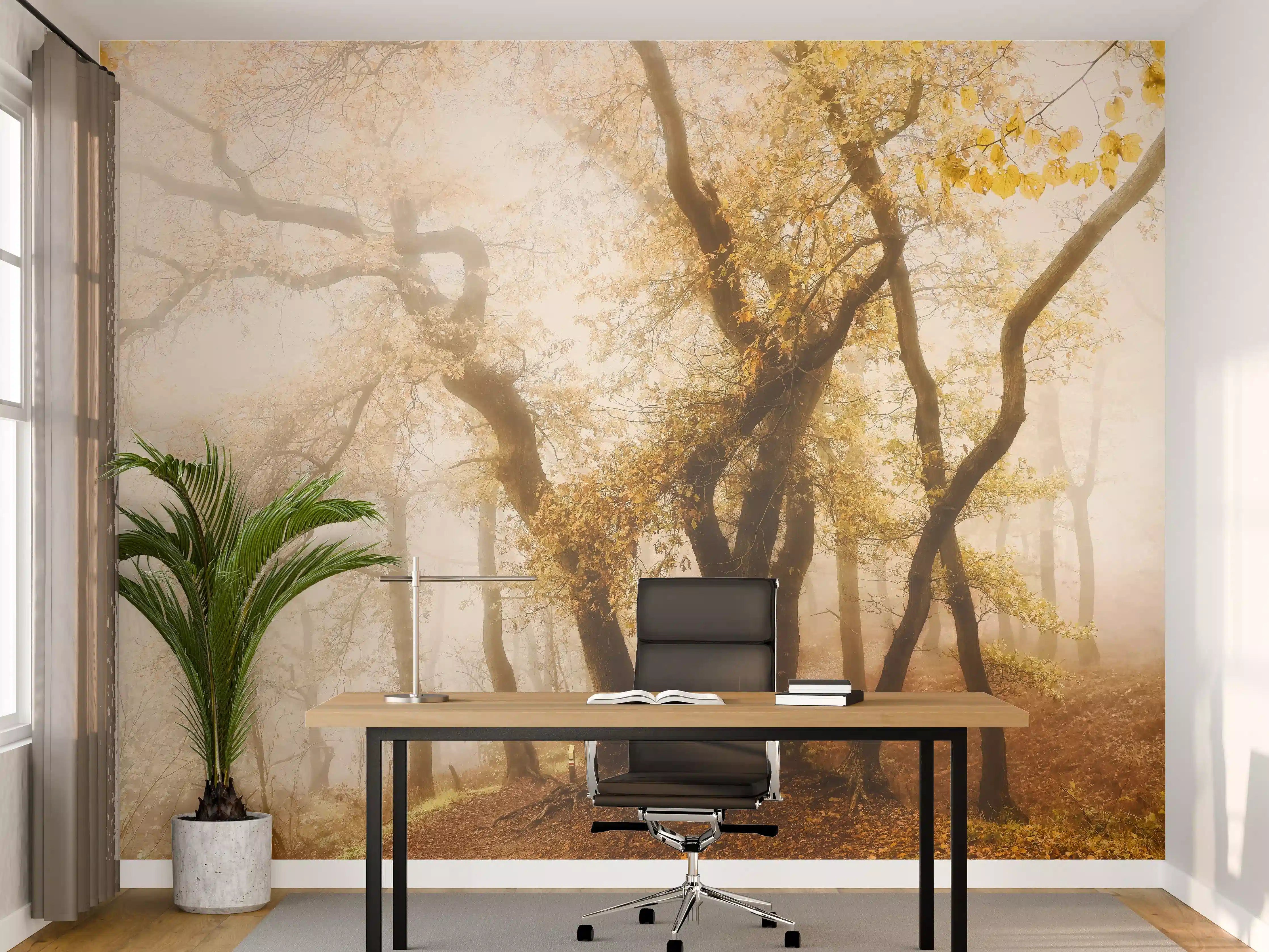 Büro Wandgestaltung - Nebeliger Wald im Herbst