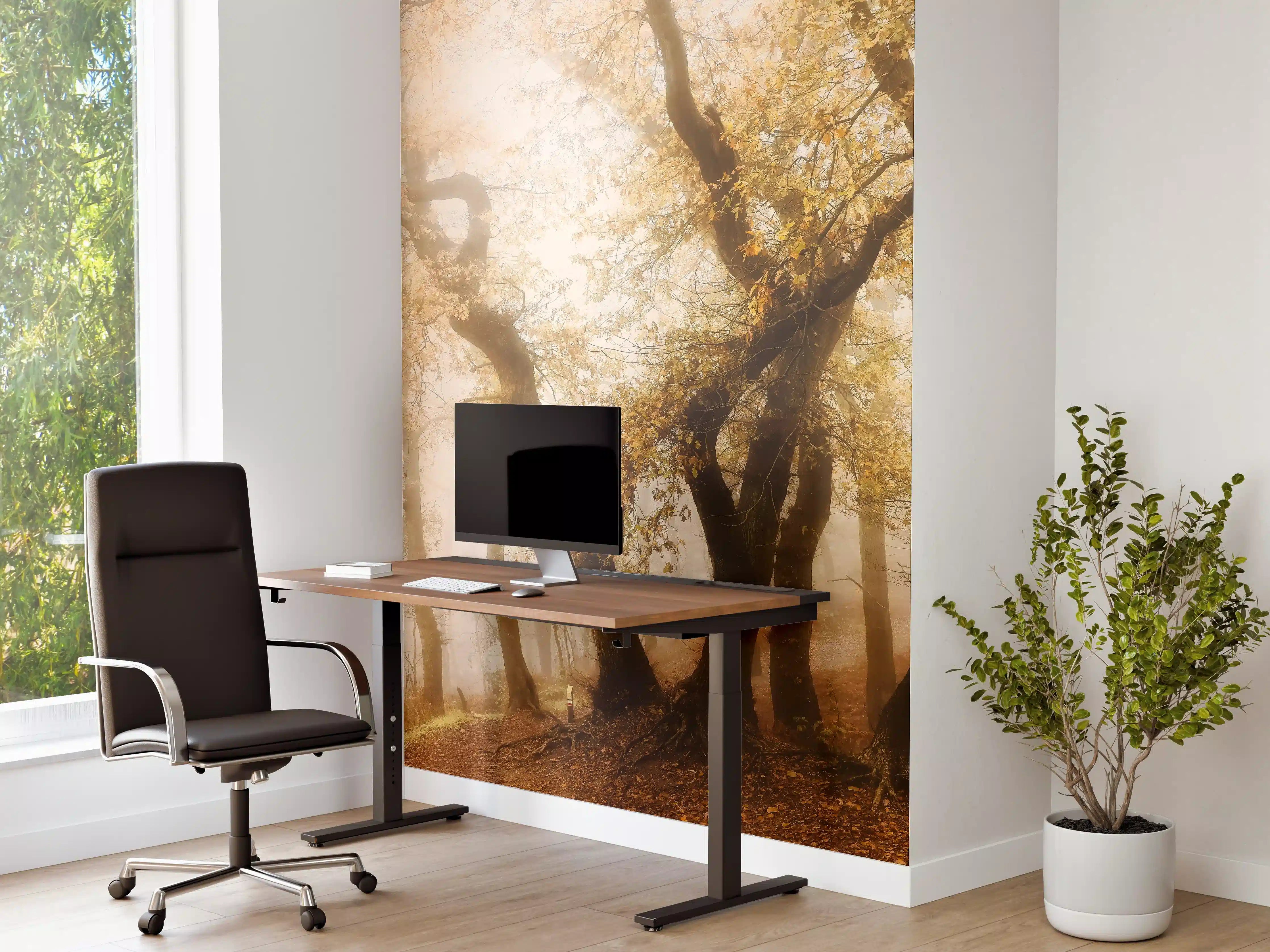Büro Wandgestaltung - Nebeliger Wald im Herbst