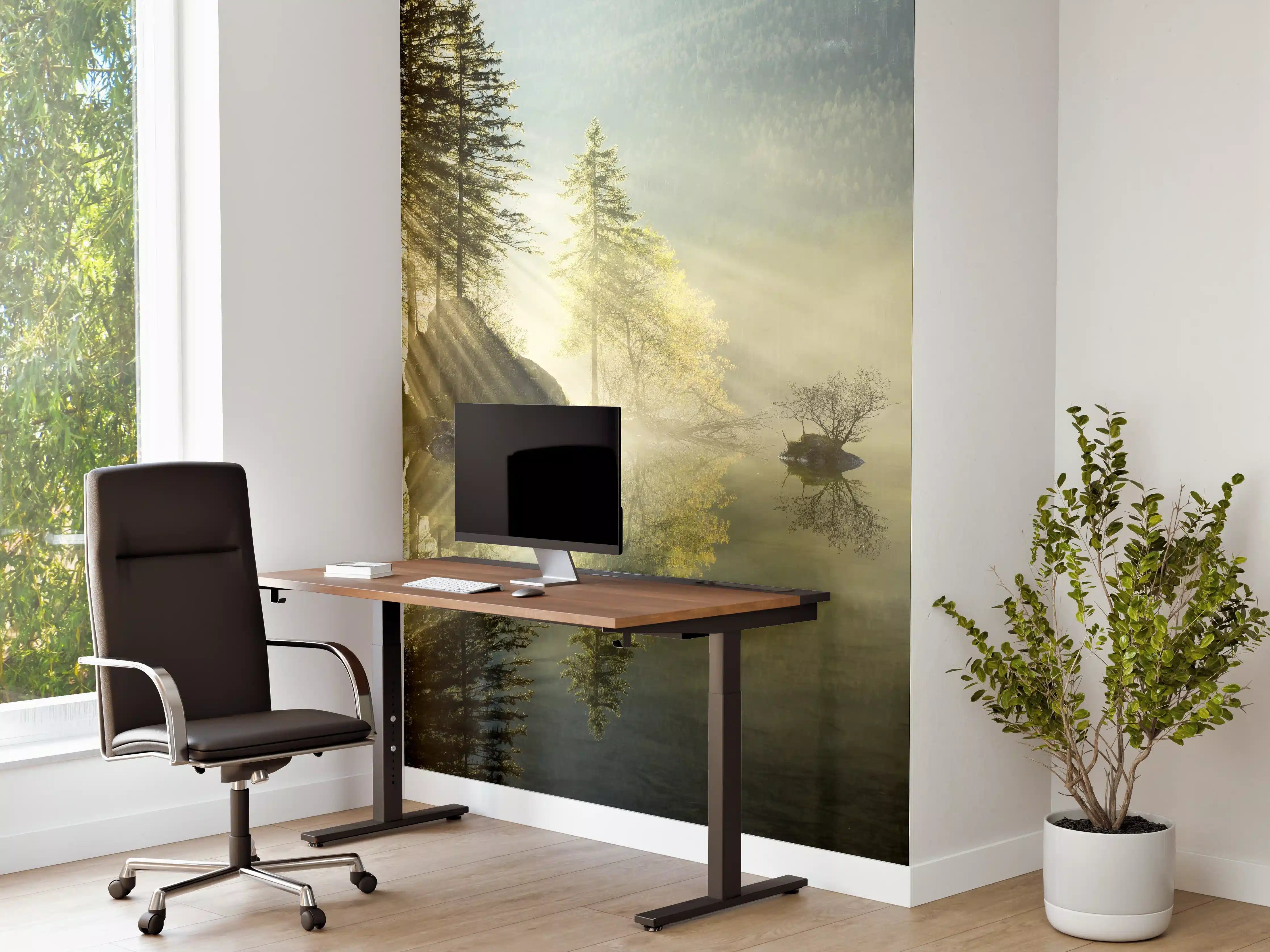Büro Wandgestaltung - Nebeliger Waldsee bei Sonnenaufgang