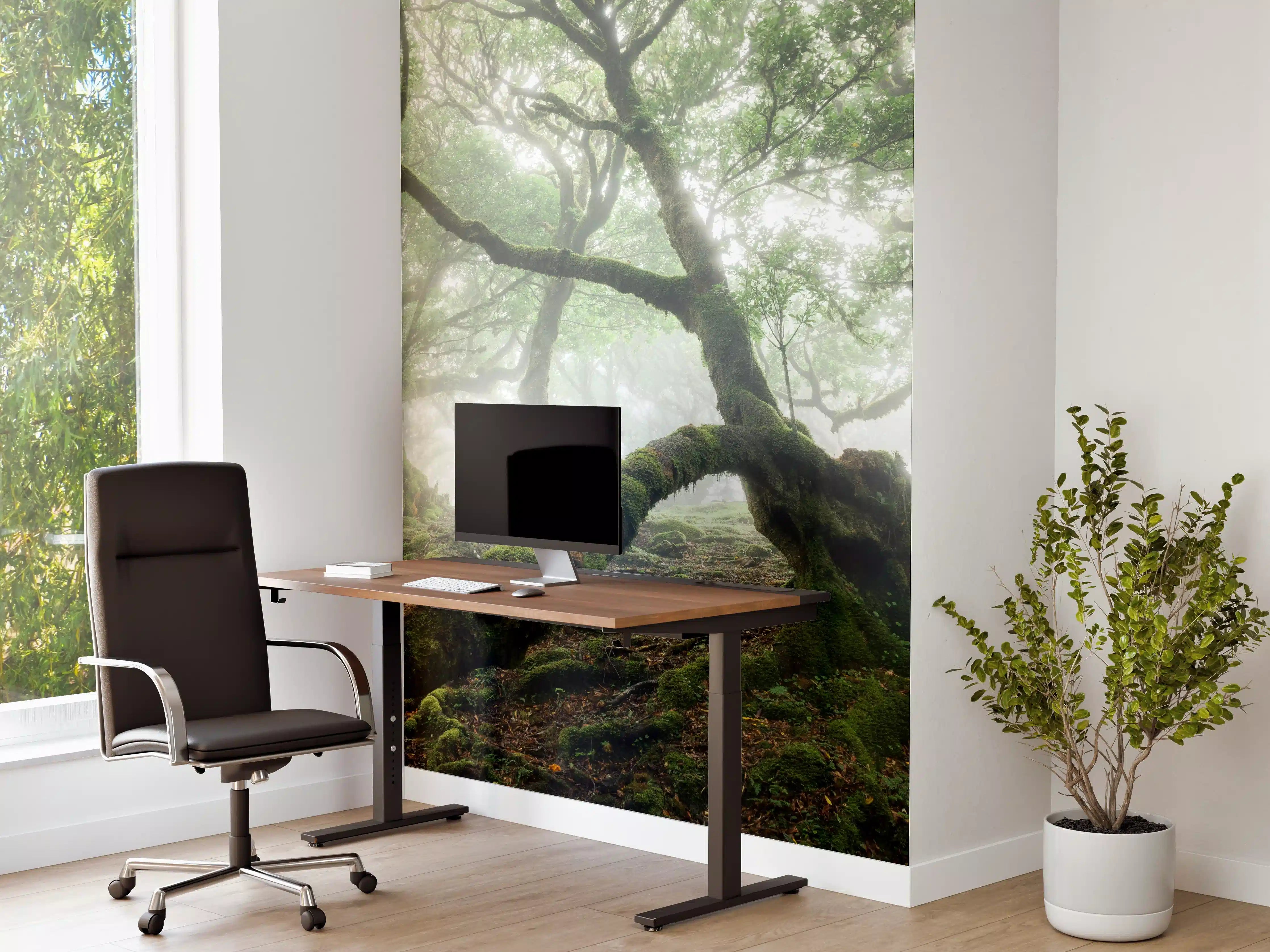 Büro Wandgestaltung - Nebeliger, mystischer Wald