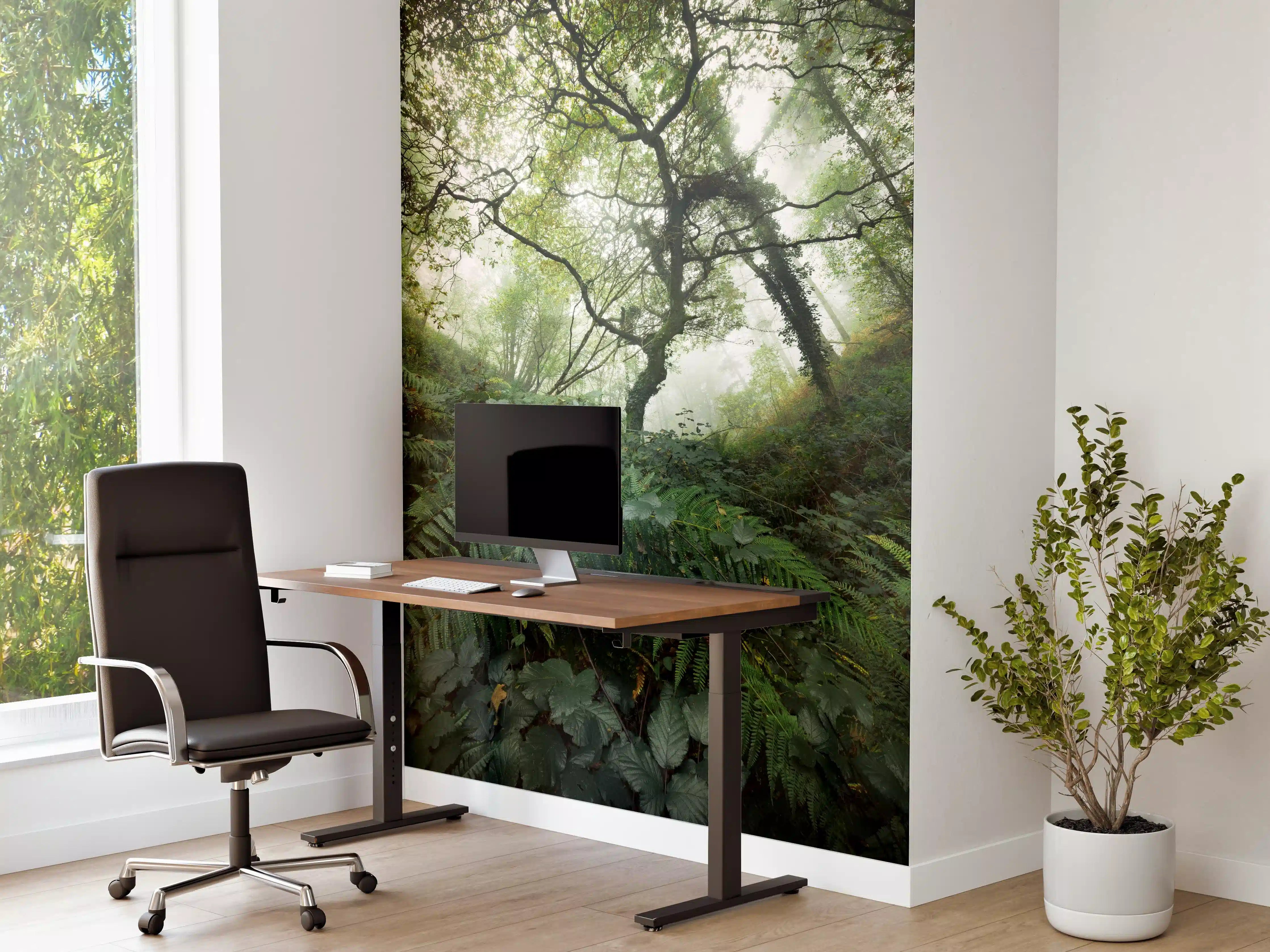 Büro Wandgestaltung - Nebelwald Grüntöne Herbst
