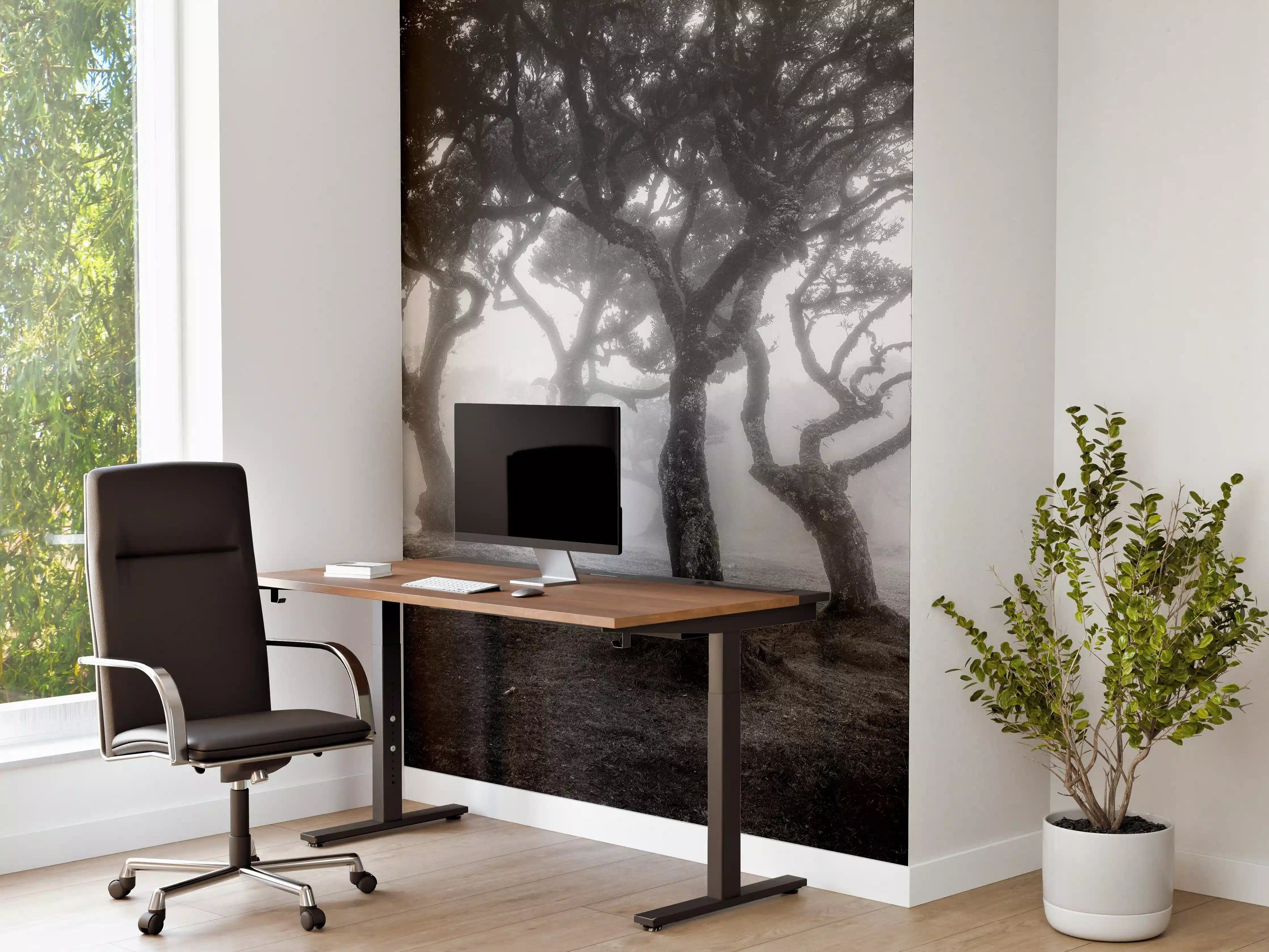 Büro Wandgestaltung - Nebelwald in Schwarz-Weiß