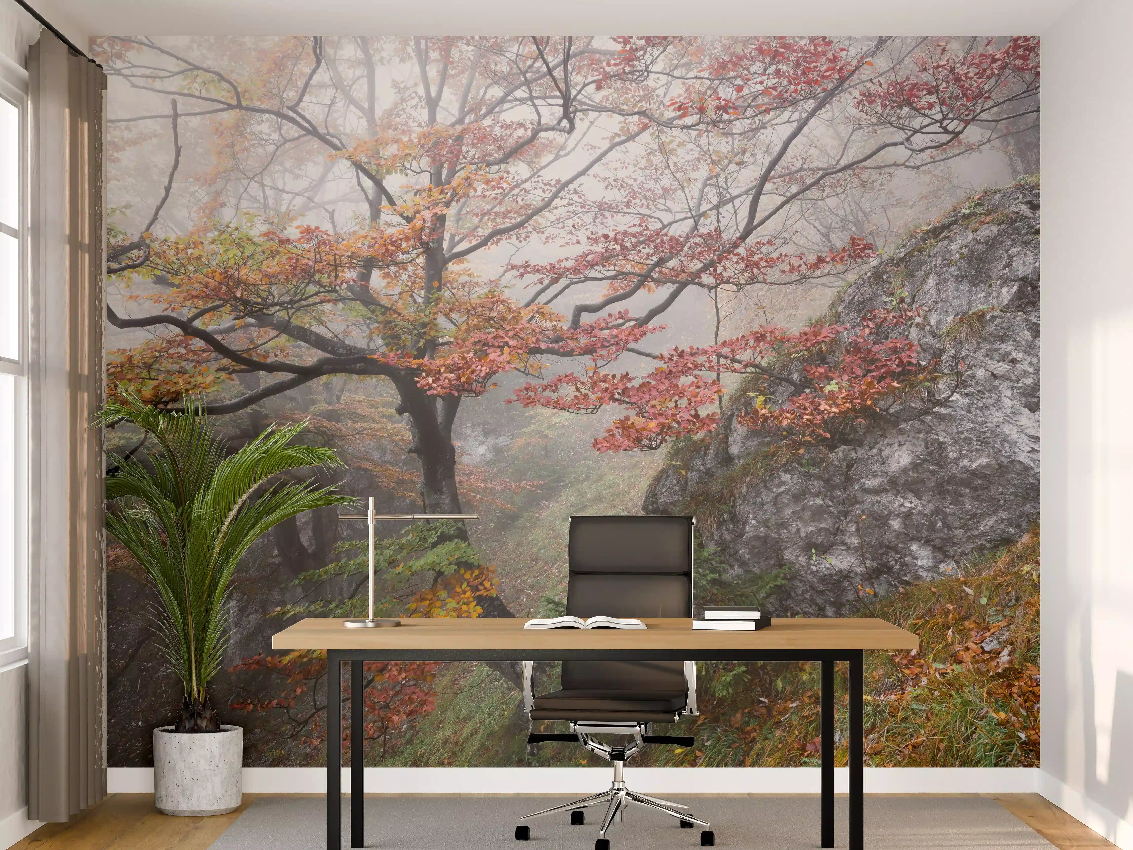 Büro Wandgestaltung - Nebliger Wald - Slowakei