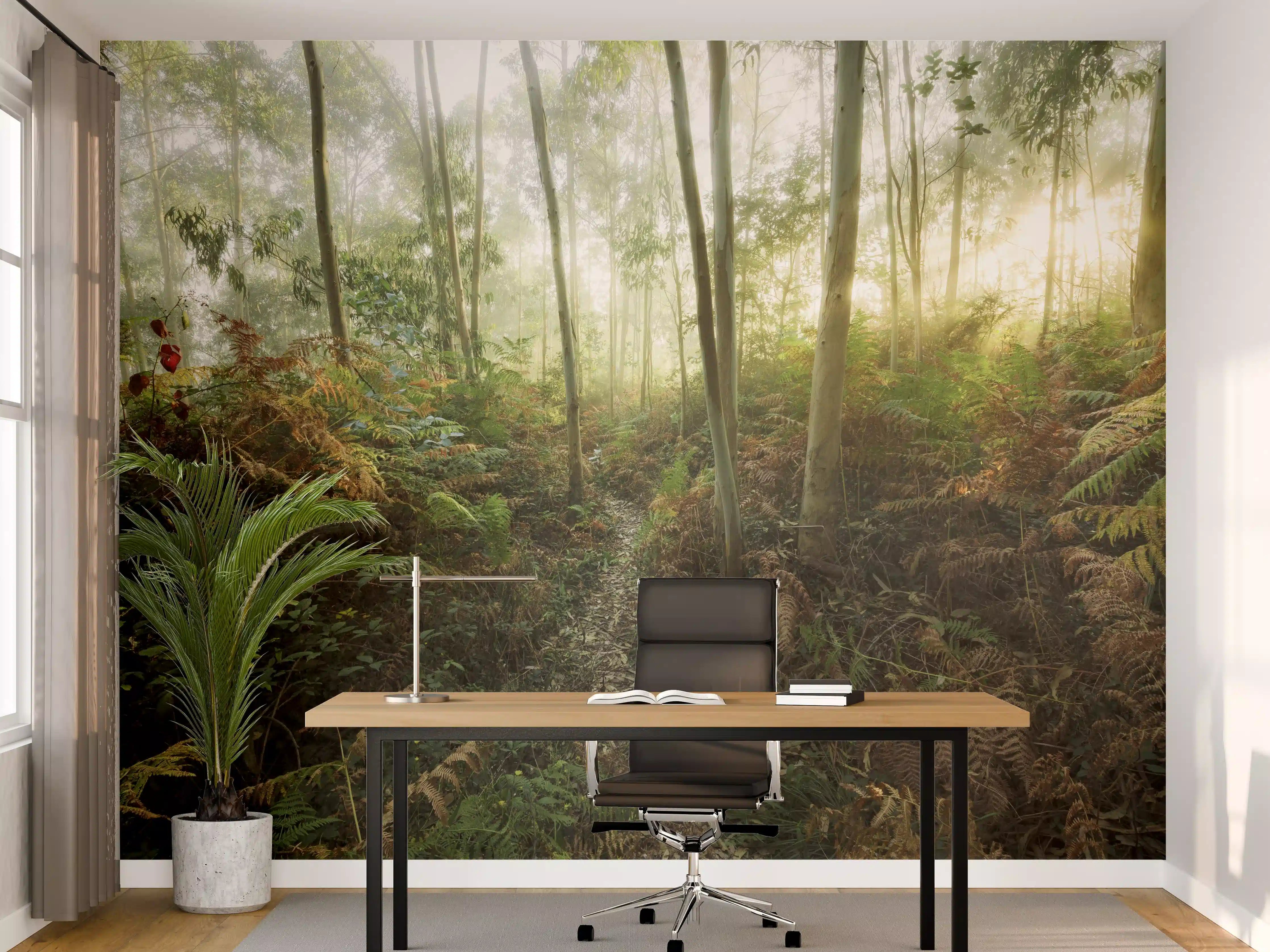 Büro Wandgestaltung - Nebliger Wald - Spanien