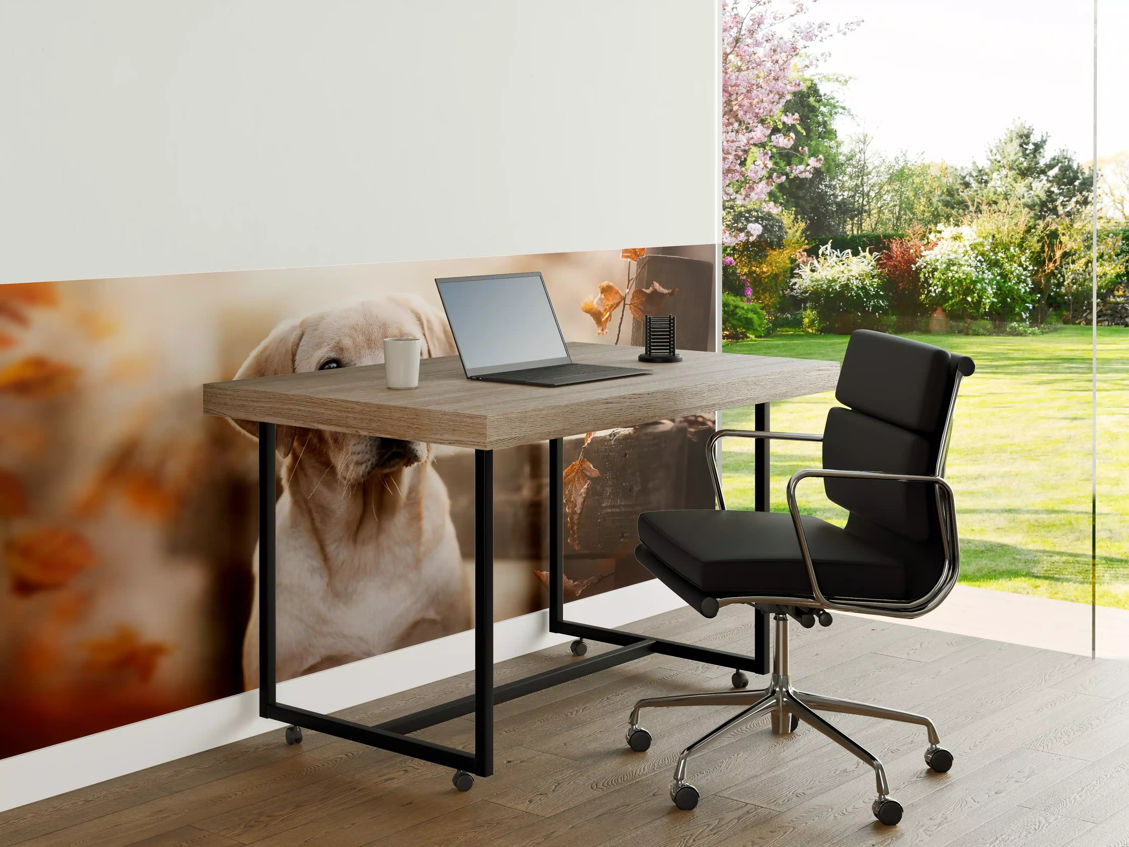 Büro Wandgestaltung - Niedlicher Labrador Welpe