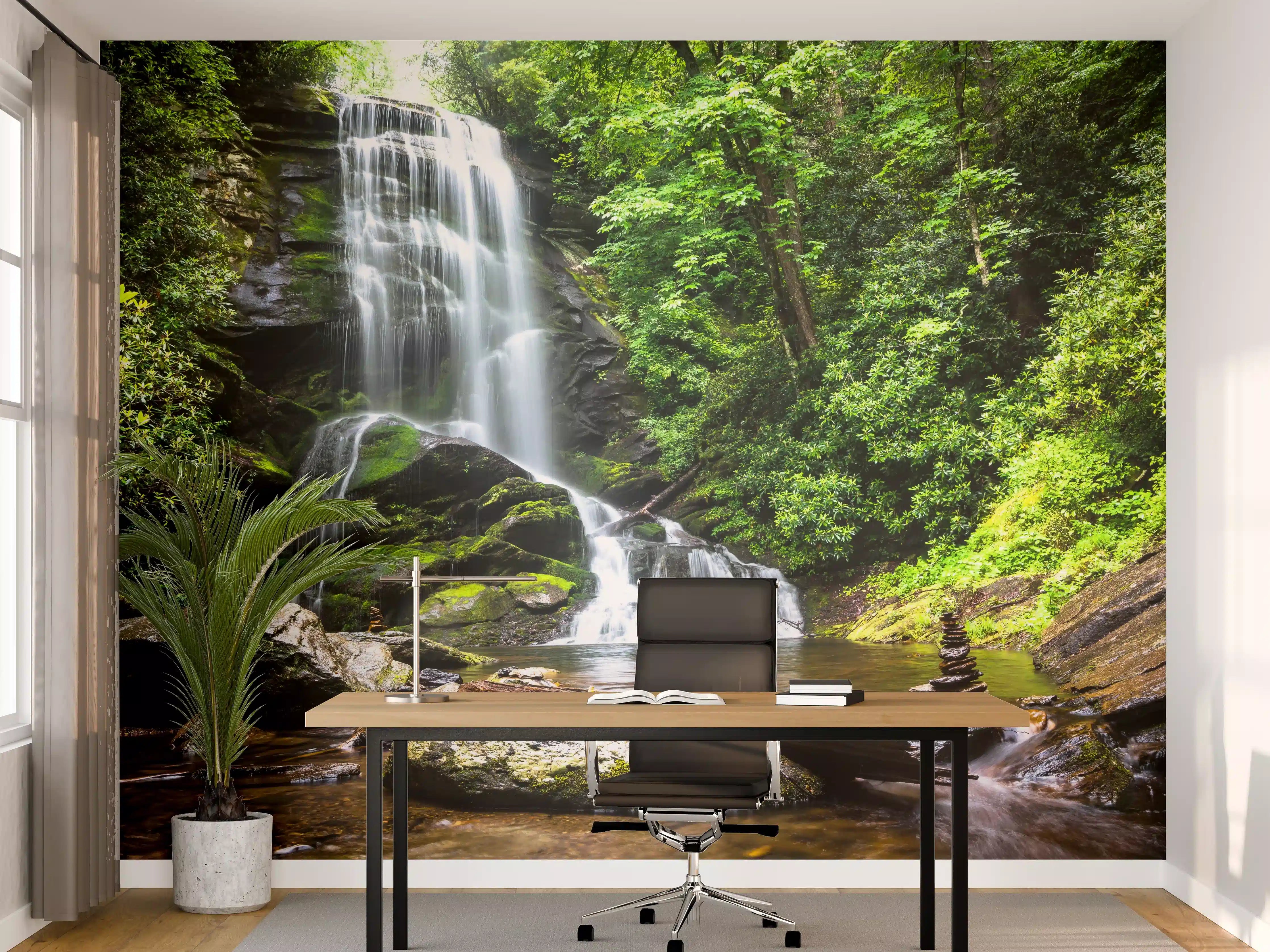 Büro Wandgestaltung - Obere Catabwa-Fälle in Pisgah