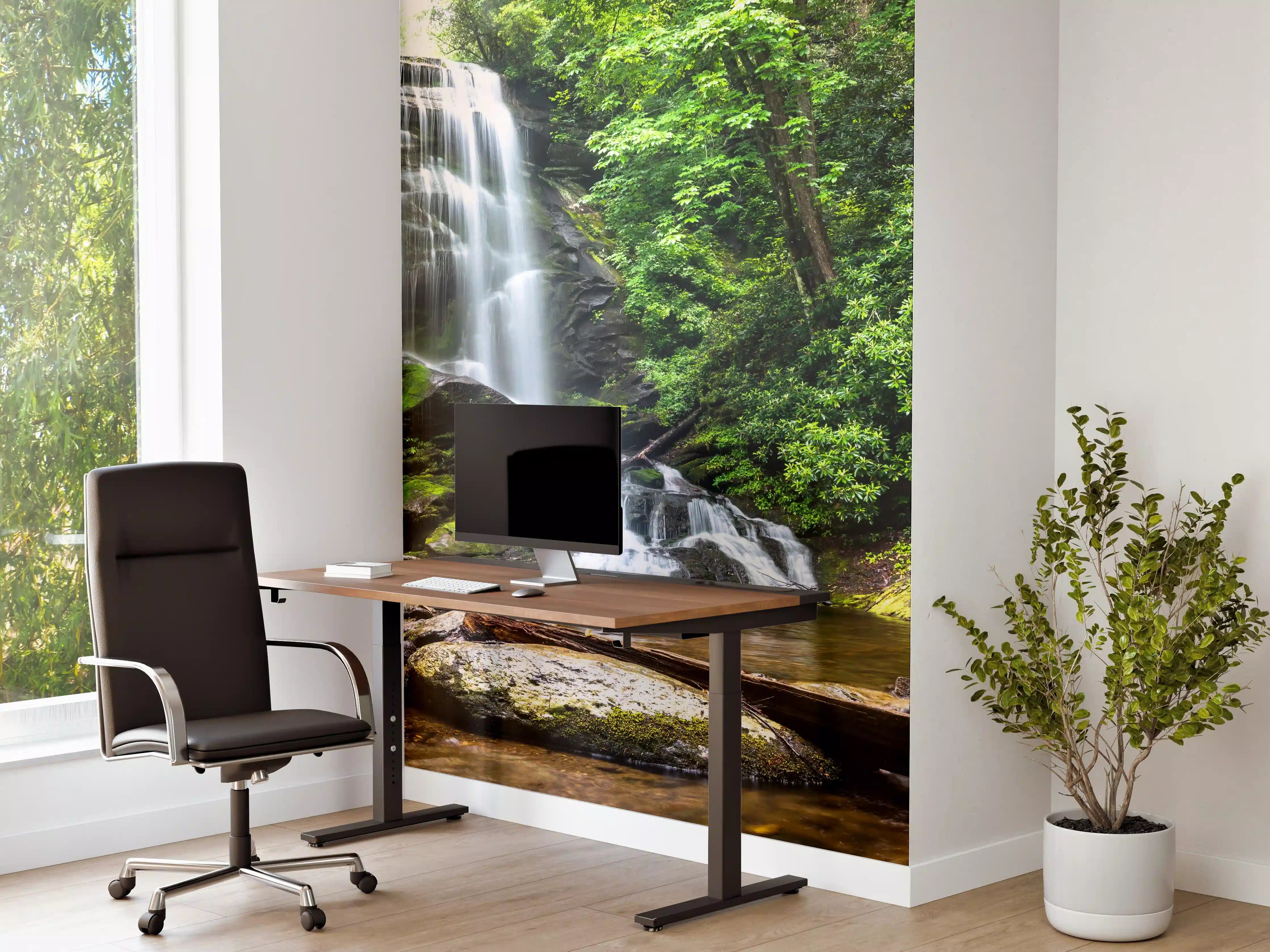 Büro Wandgestaltung - Obere Catabwa-Fälle in Pisgah