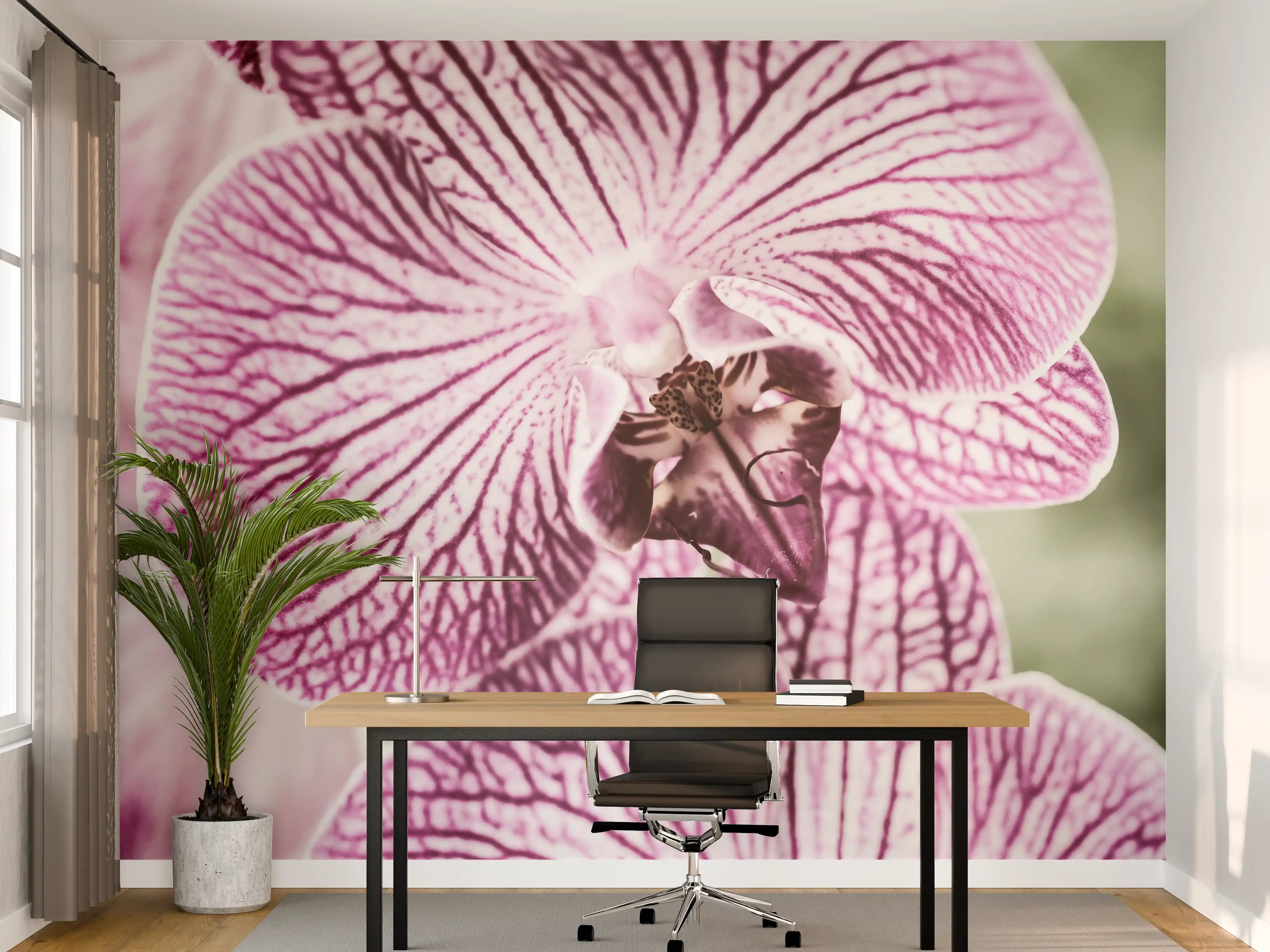 Büro Wandgestaltung - Orchideen Makro Pink-Lila