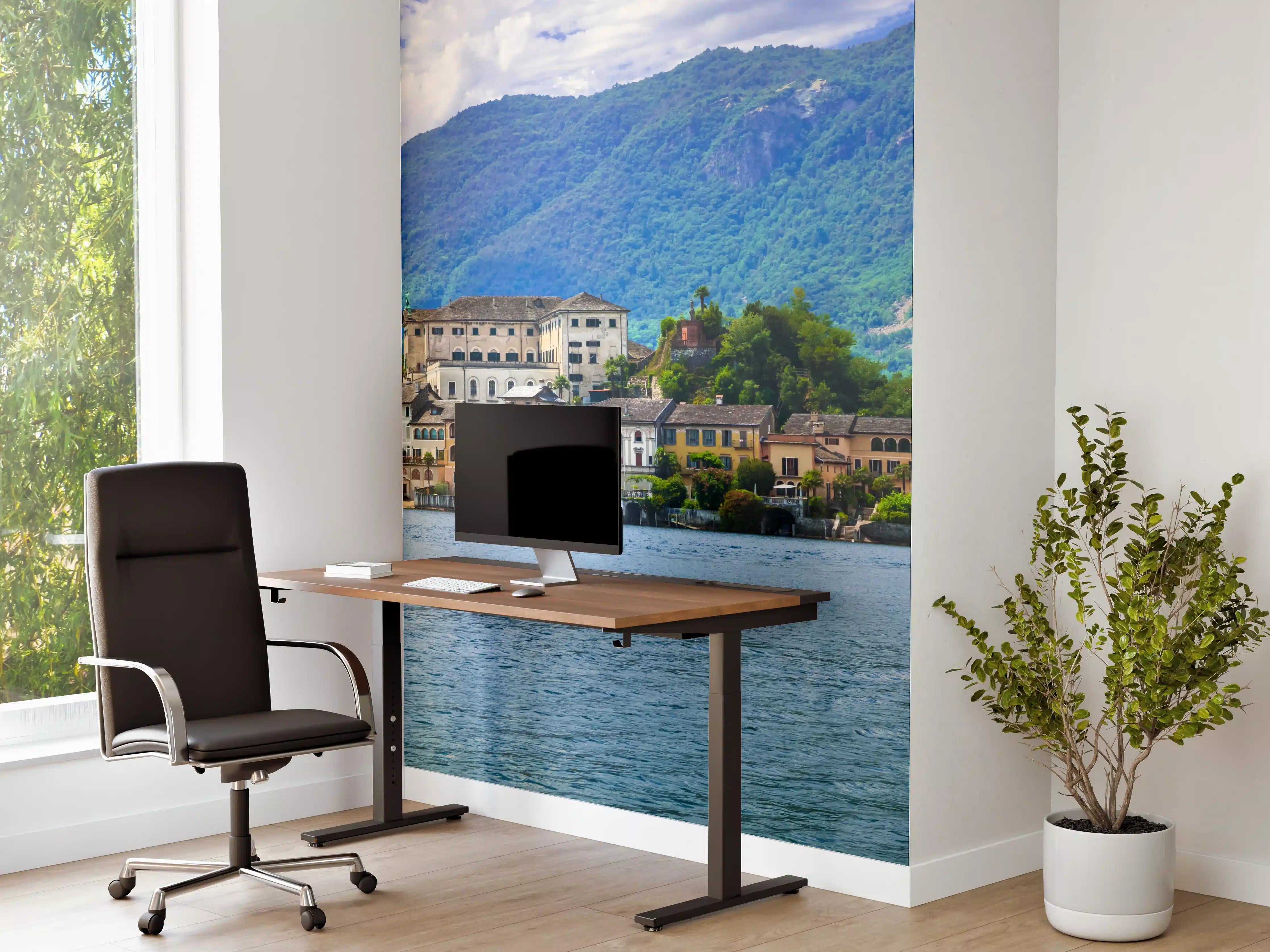 Büro Wandgestaltung - Ortasee - Italien