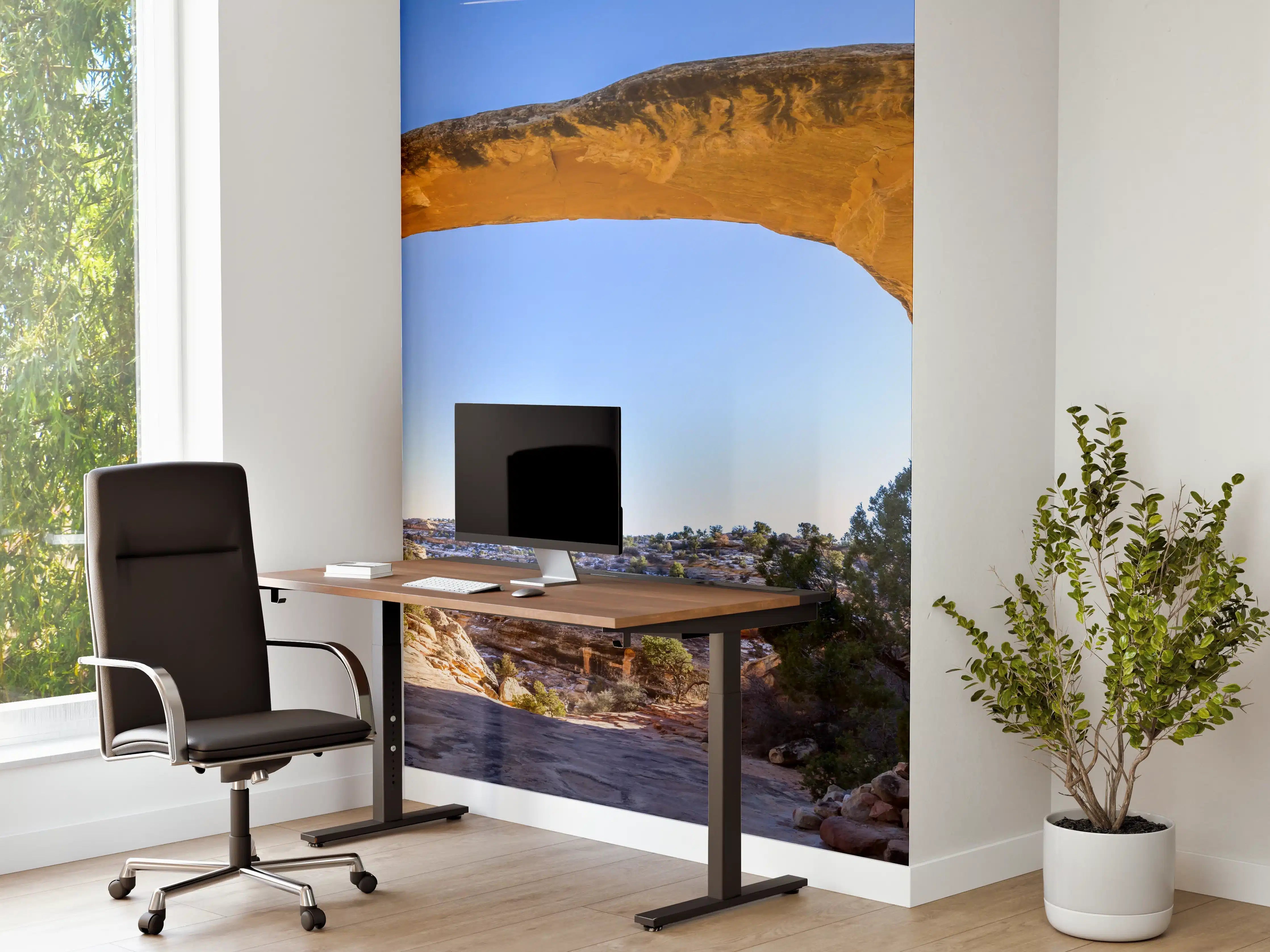 Büro Wandgestaltung - Owachomo Naturbrücke Panorama