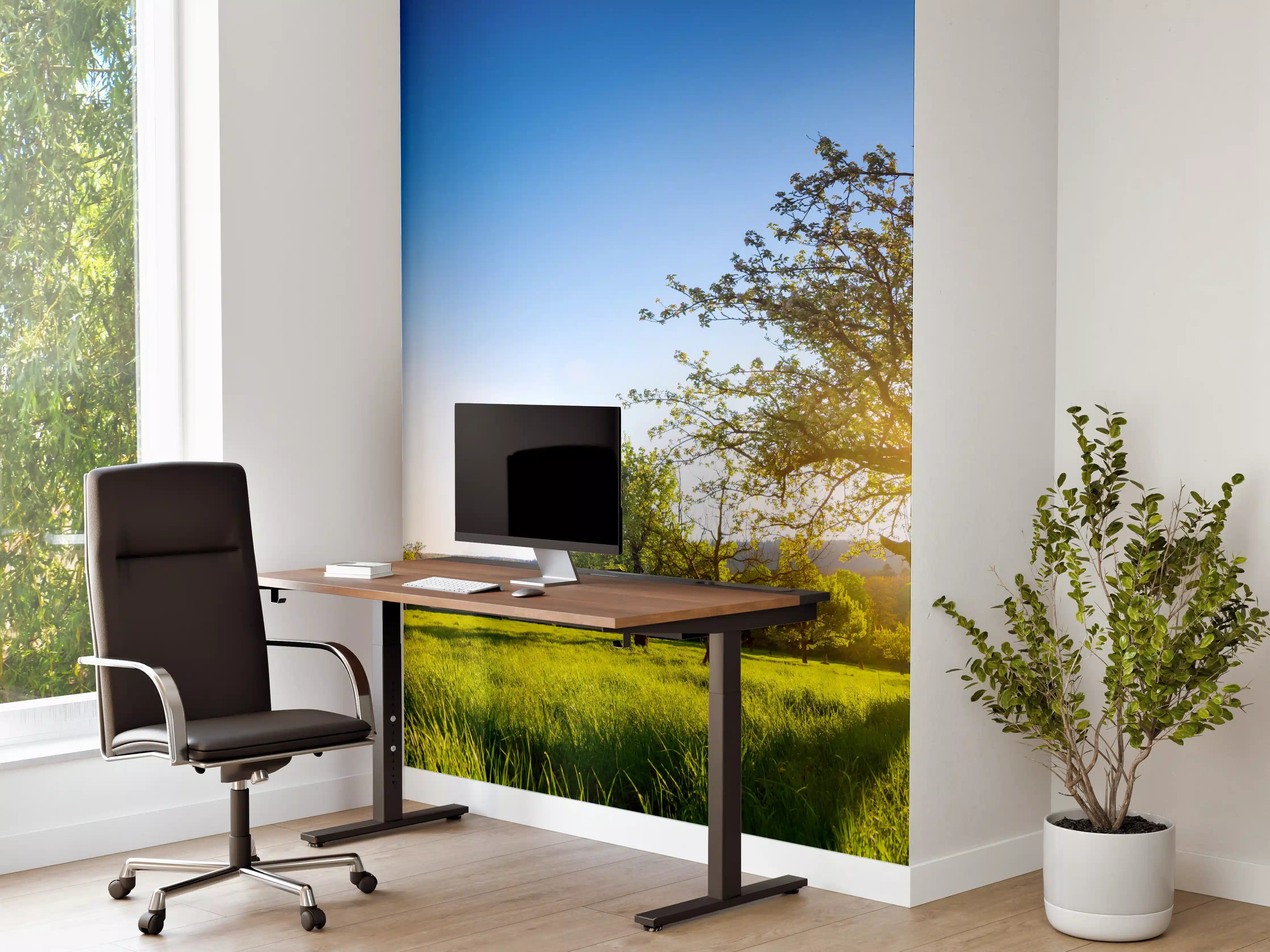 Büro Wandgestaltung - Panorama Ländliche Idylle