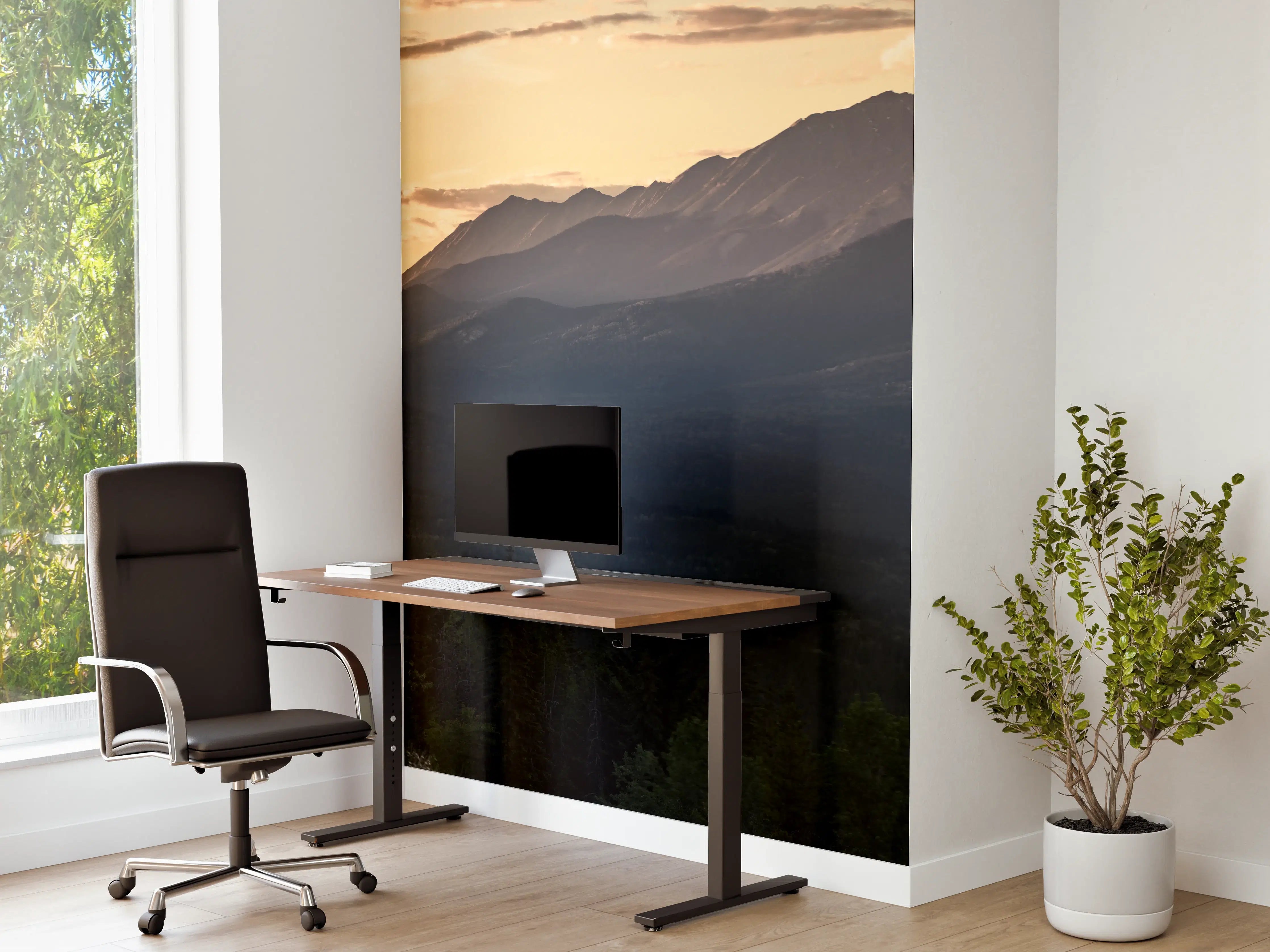 Büro Wandgestaltung - Panorama des Kooteney Valley bei Sonnenuntergang