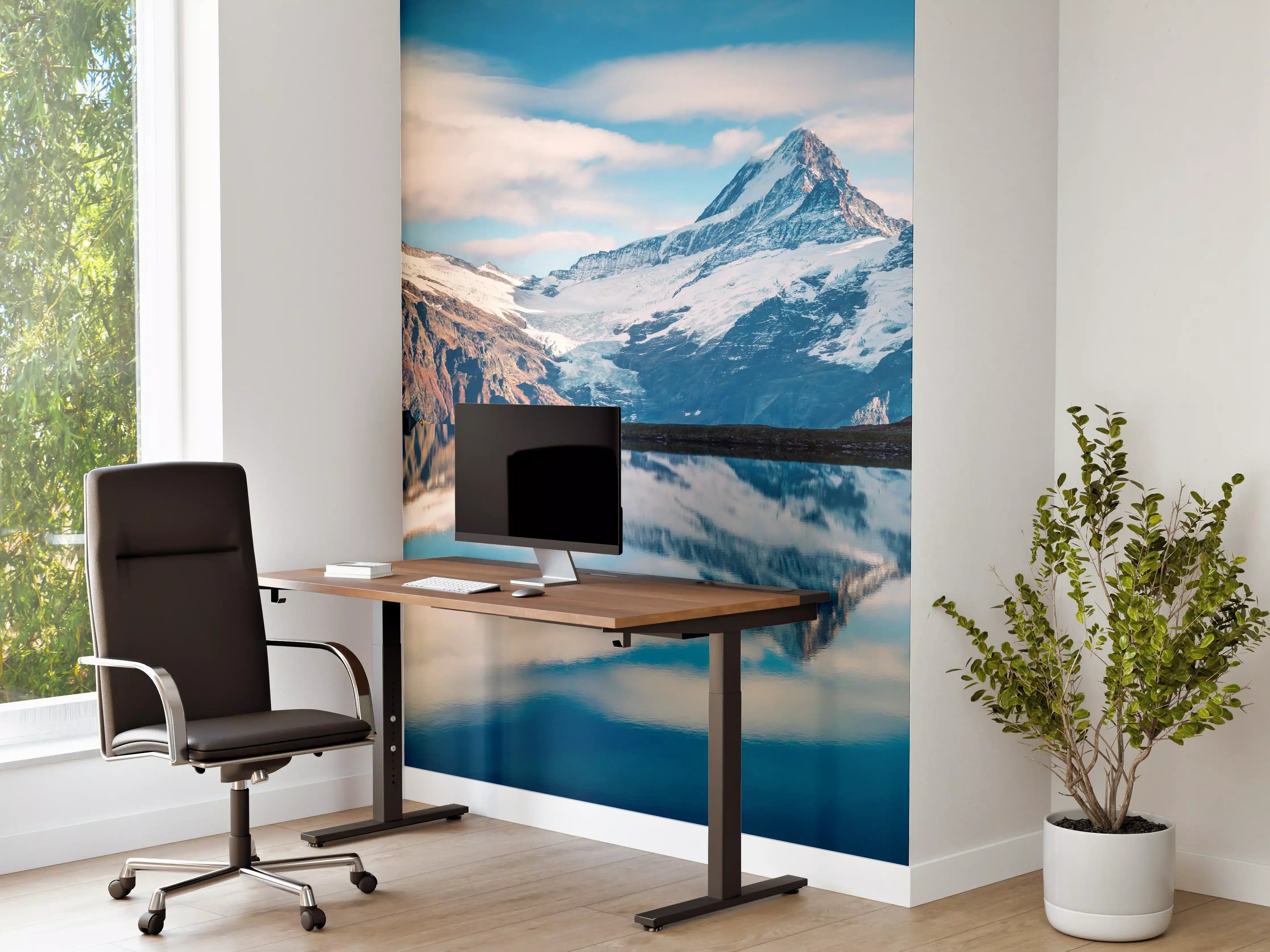 Büro Wandgestaltung - Panoramablick auf Bachalpsee