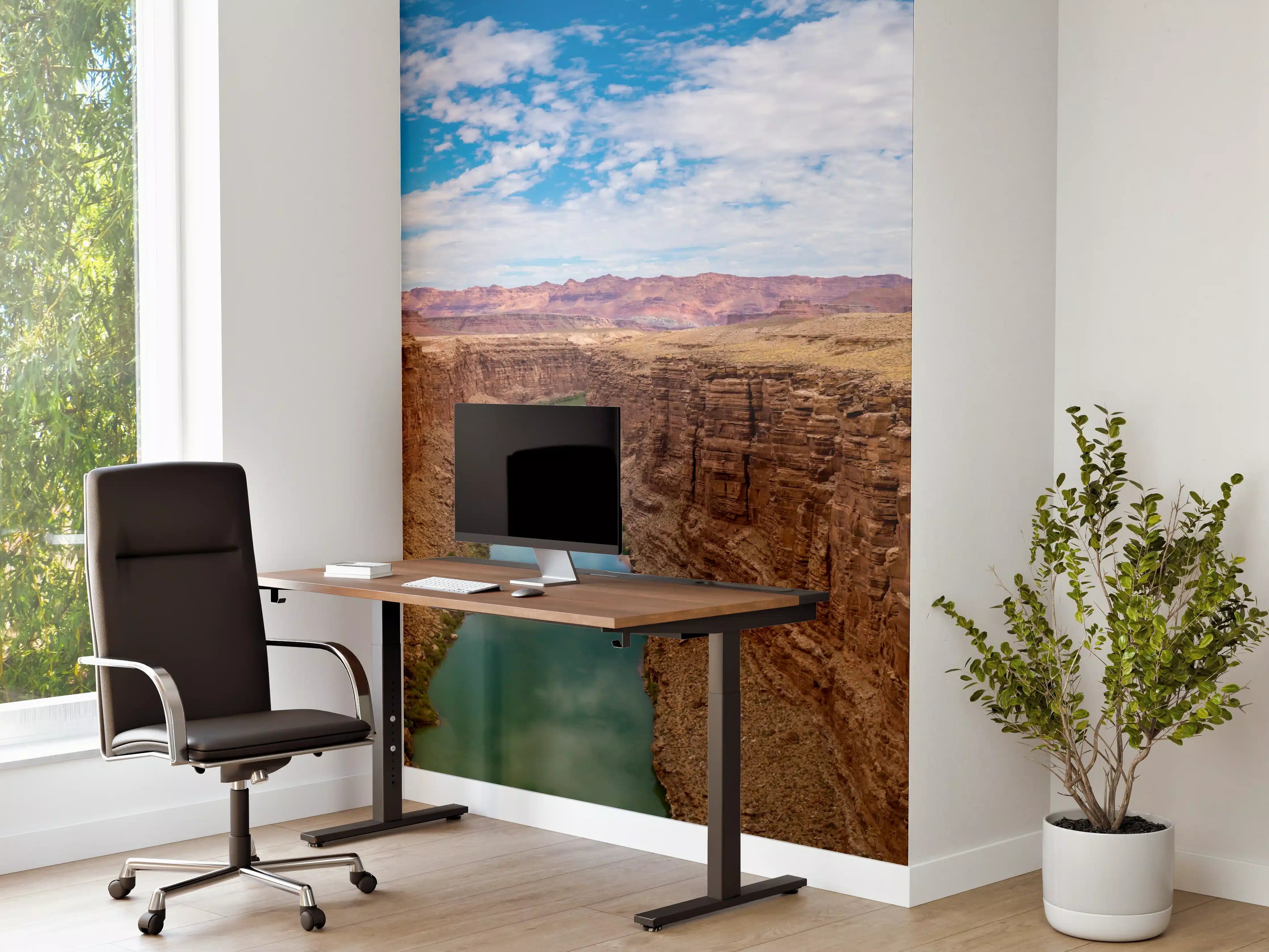 Büro Wandgestaltung - Panoramablick auf Colorado River - USA