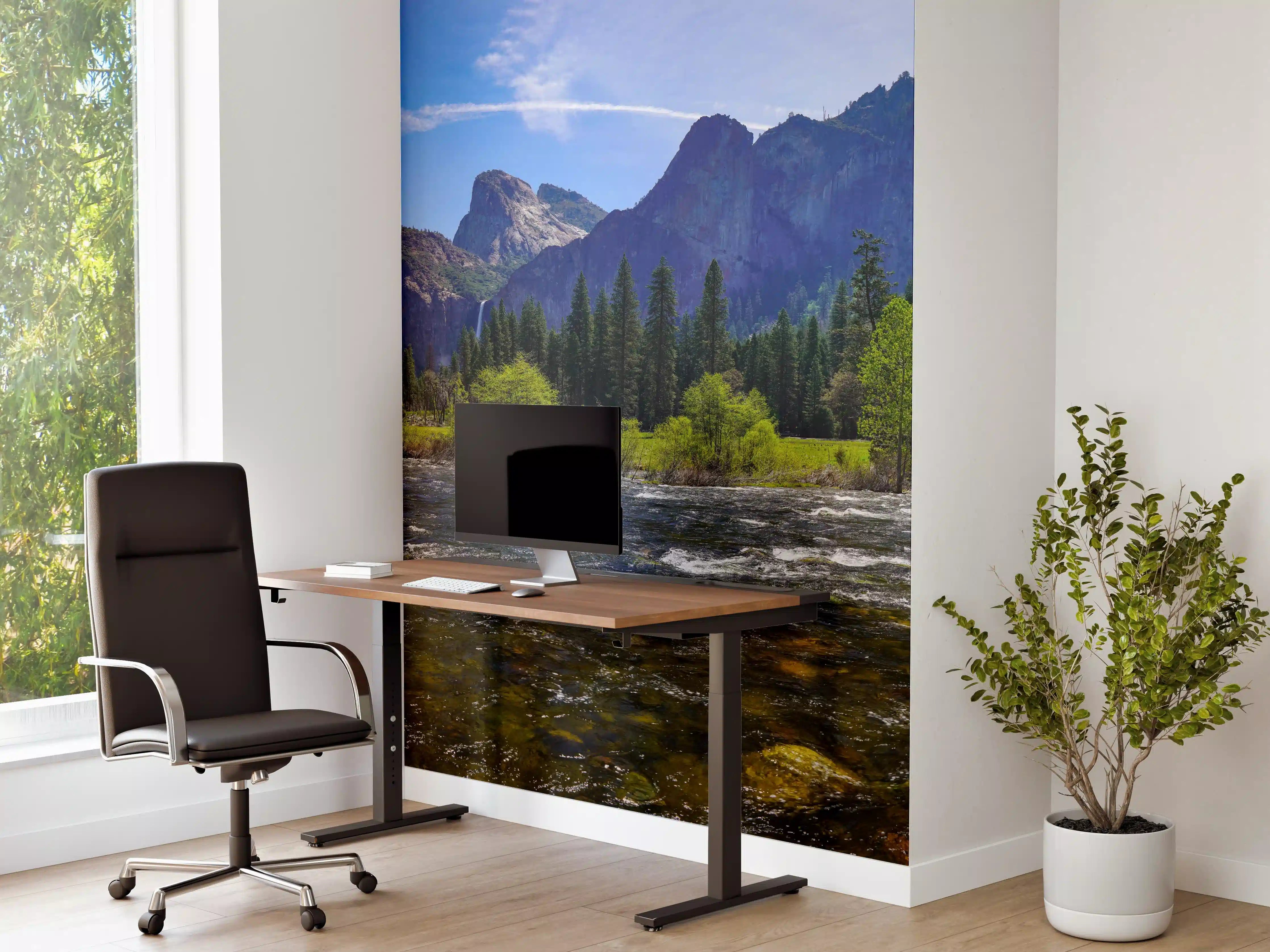 Büro Wandgestaltung - Panoramablick im Yosemite-Nationalpark