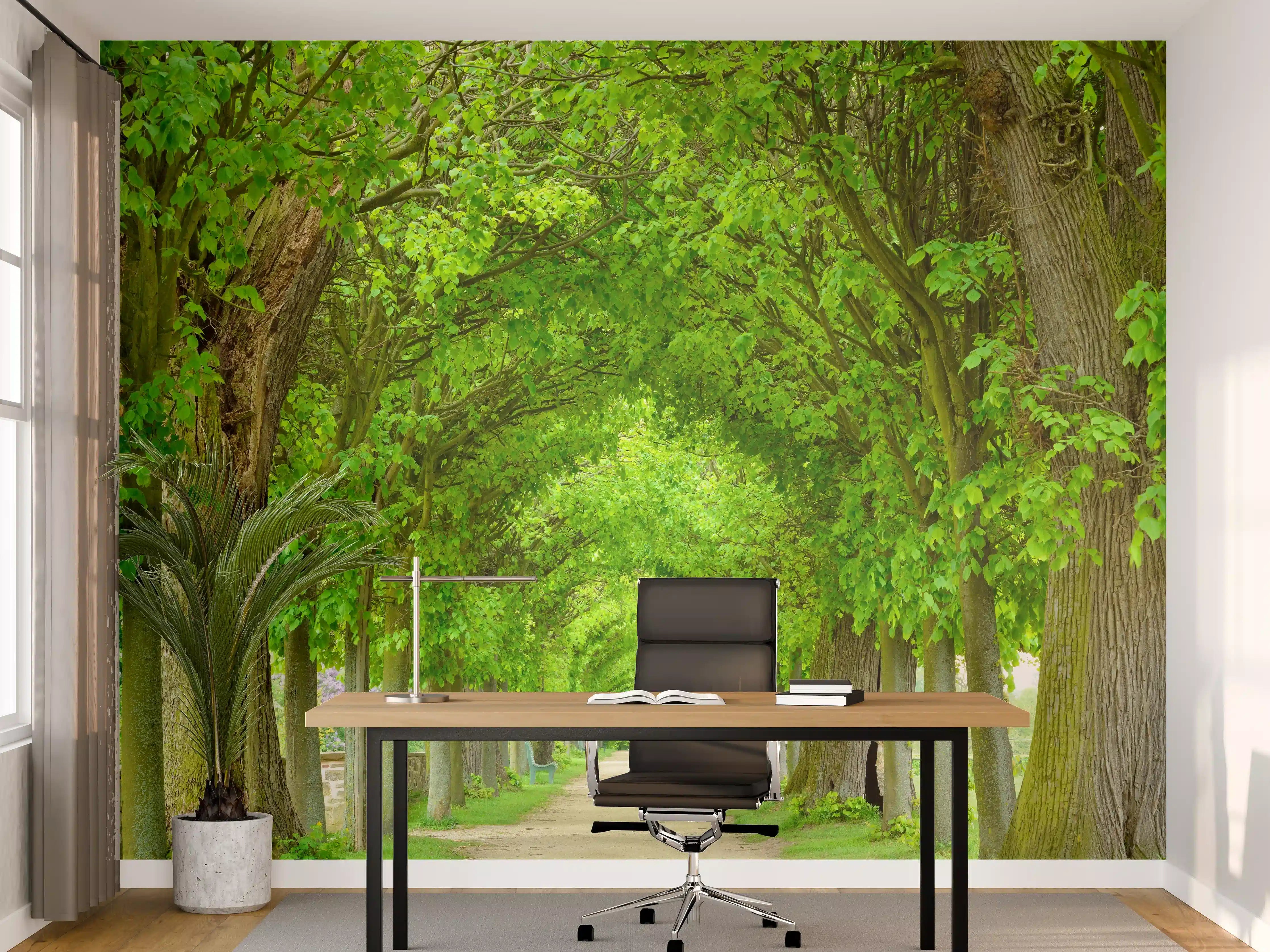Büro Wandgestaltung - Park mit tunnelartiger Lindenallee im Frühling