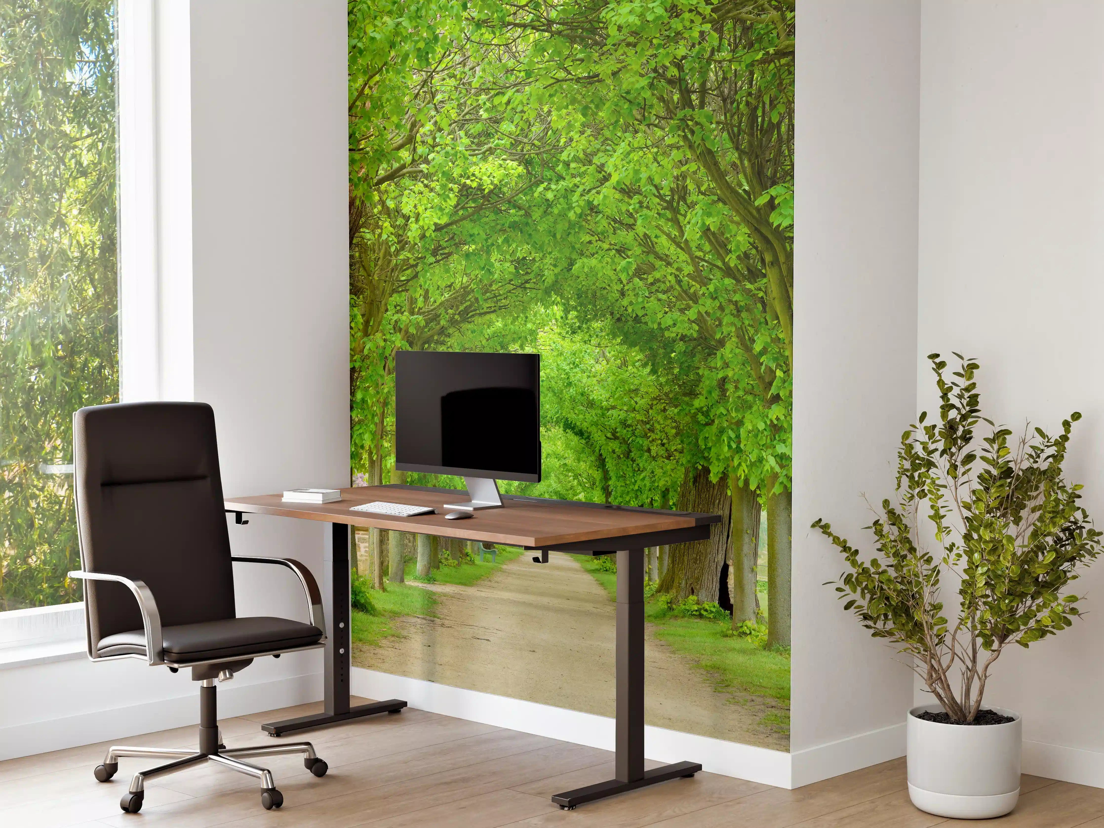 Büro Wandgestaltung - Park mit tunnelartiger Lindenallee im Frühling
