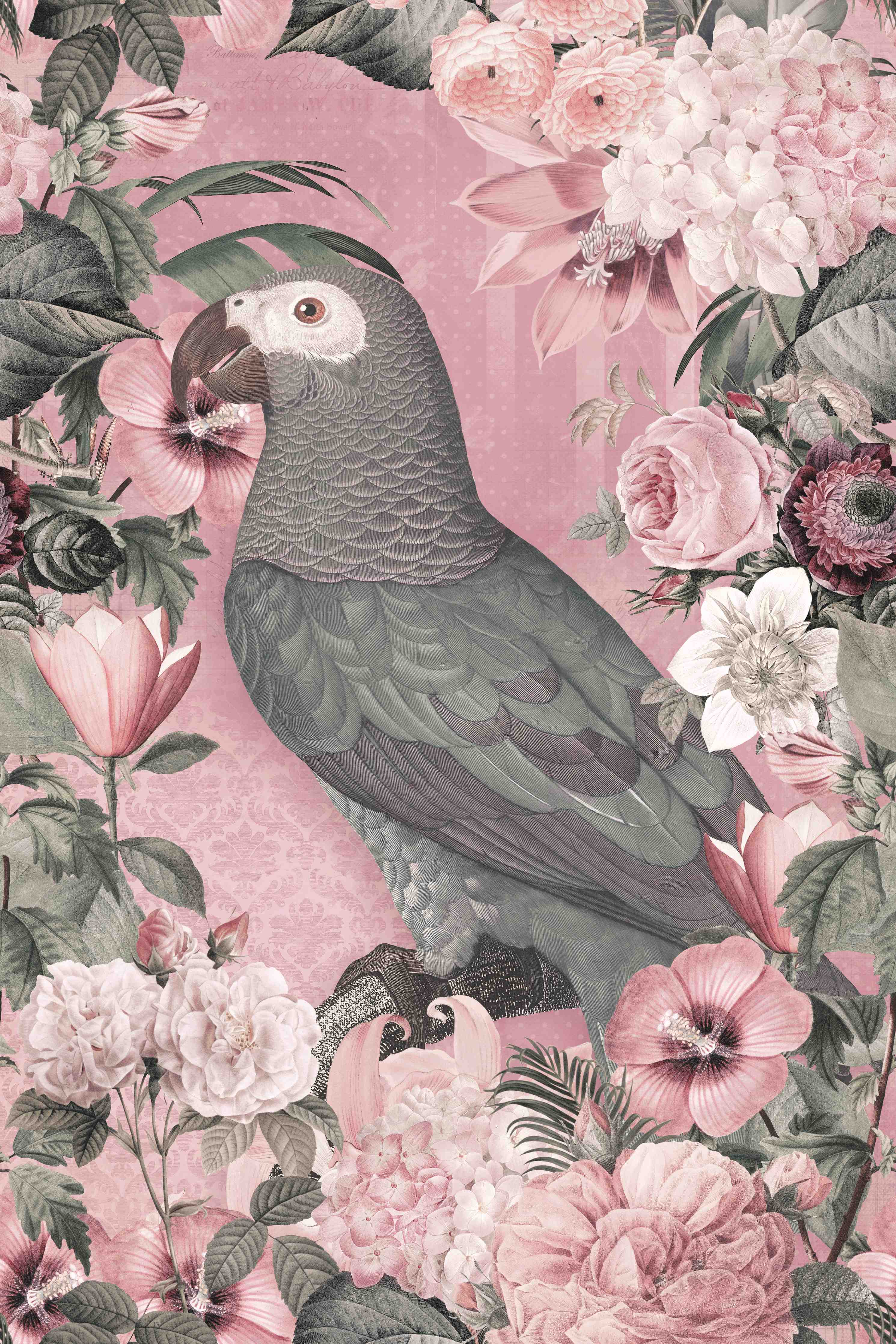 Büro Wandgestaltung-Pastellrosa Papagei Flora