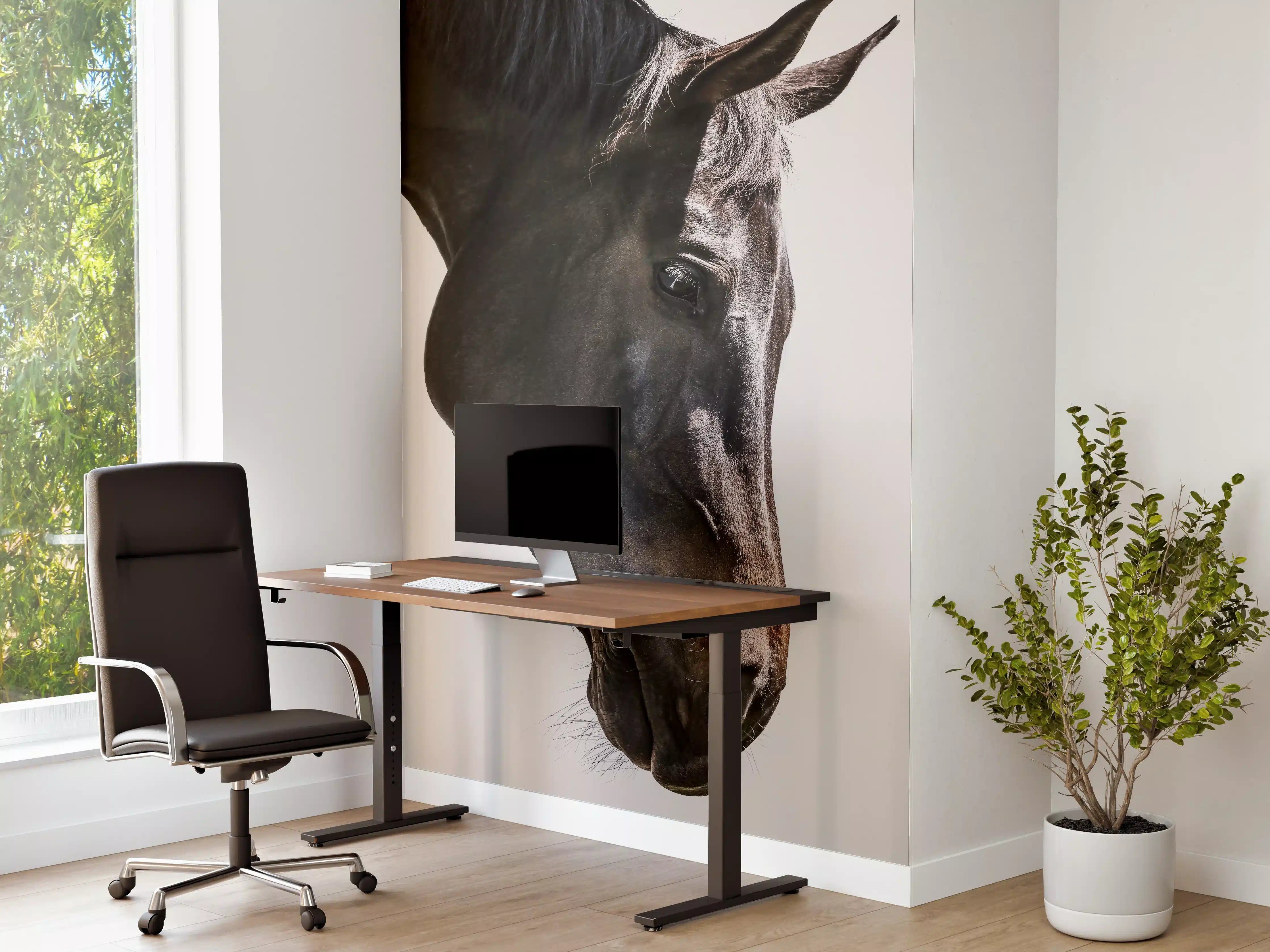Büro Wandgestaltung - Pferd - Nahaufnahme