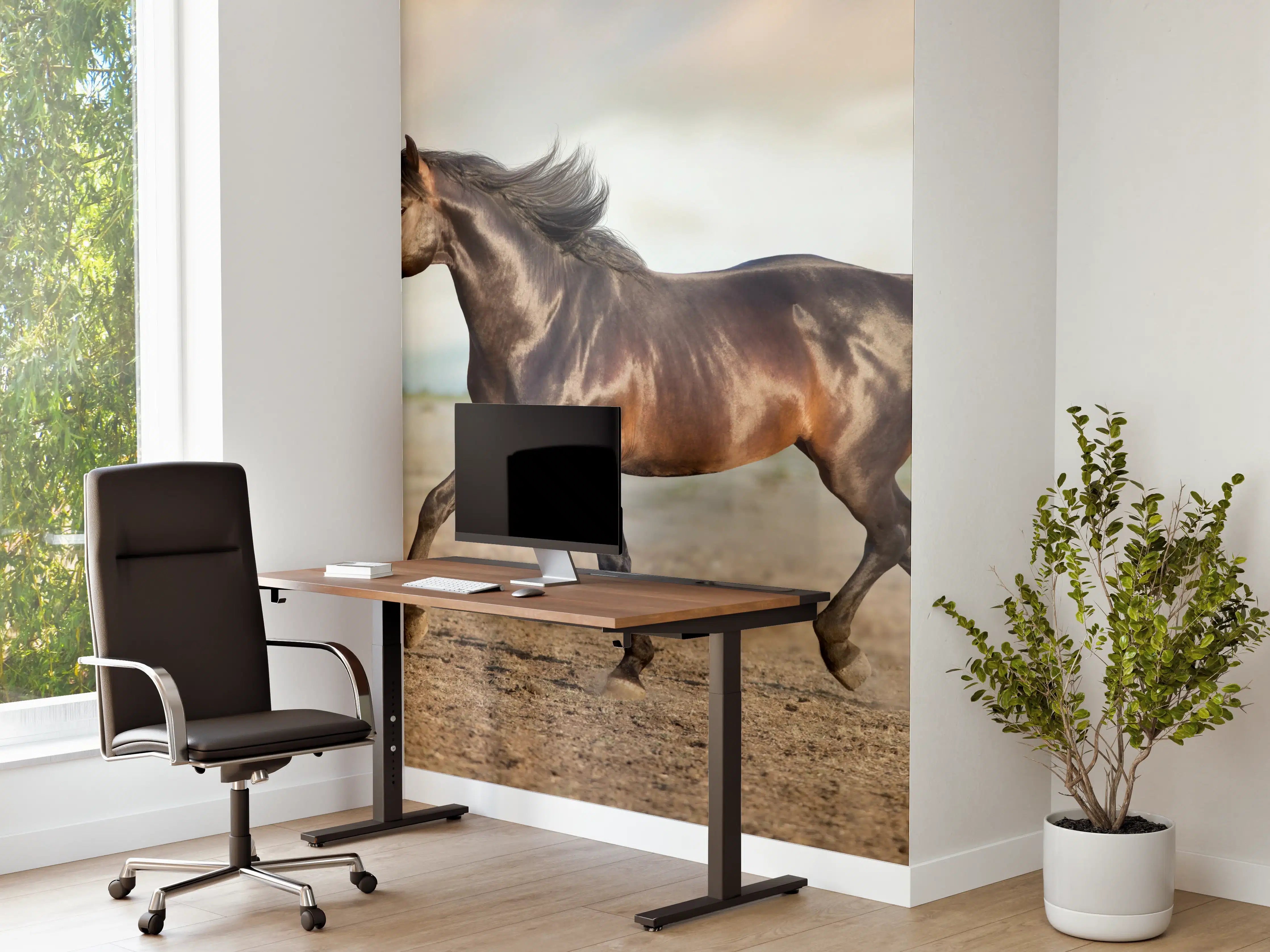 Büro Wandgestaltung - Pferd frei in der Wüste