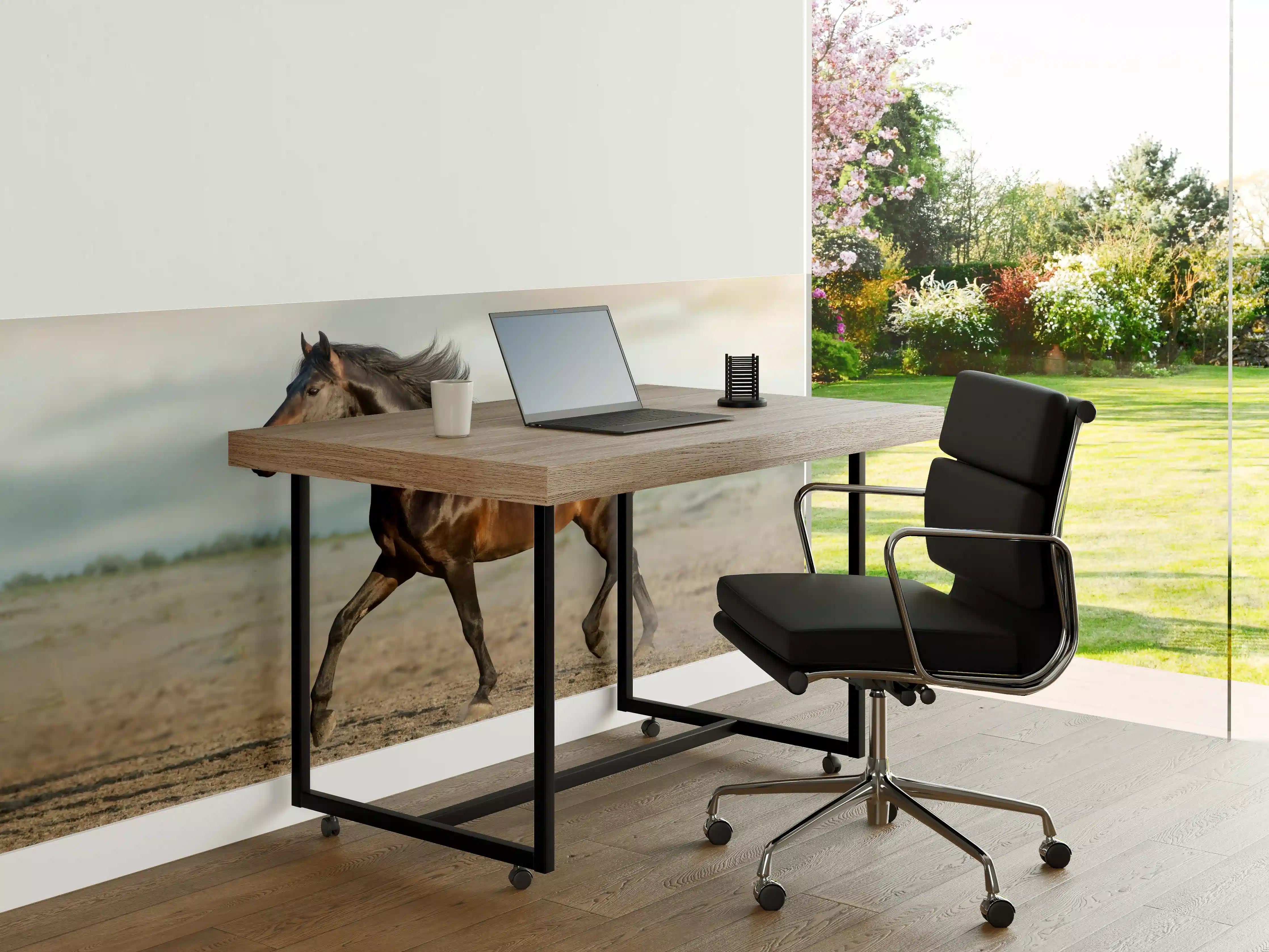 Büro Wandgestaltung - Pferd frei in der Wüste