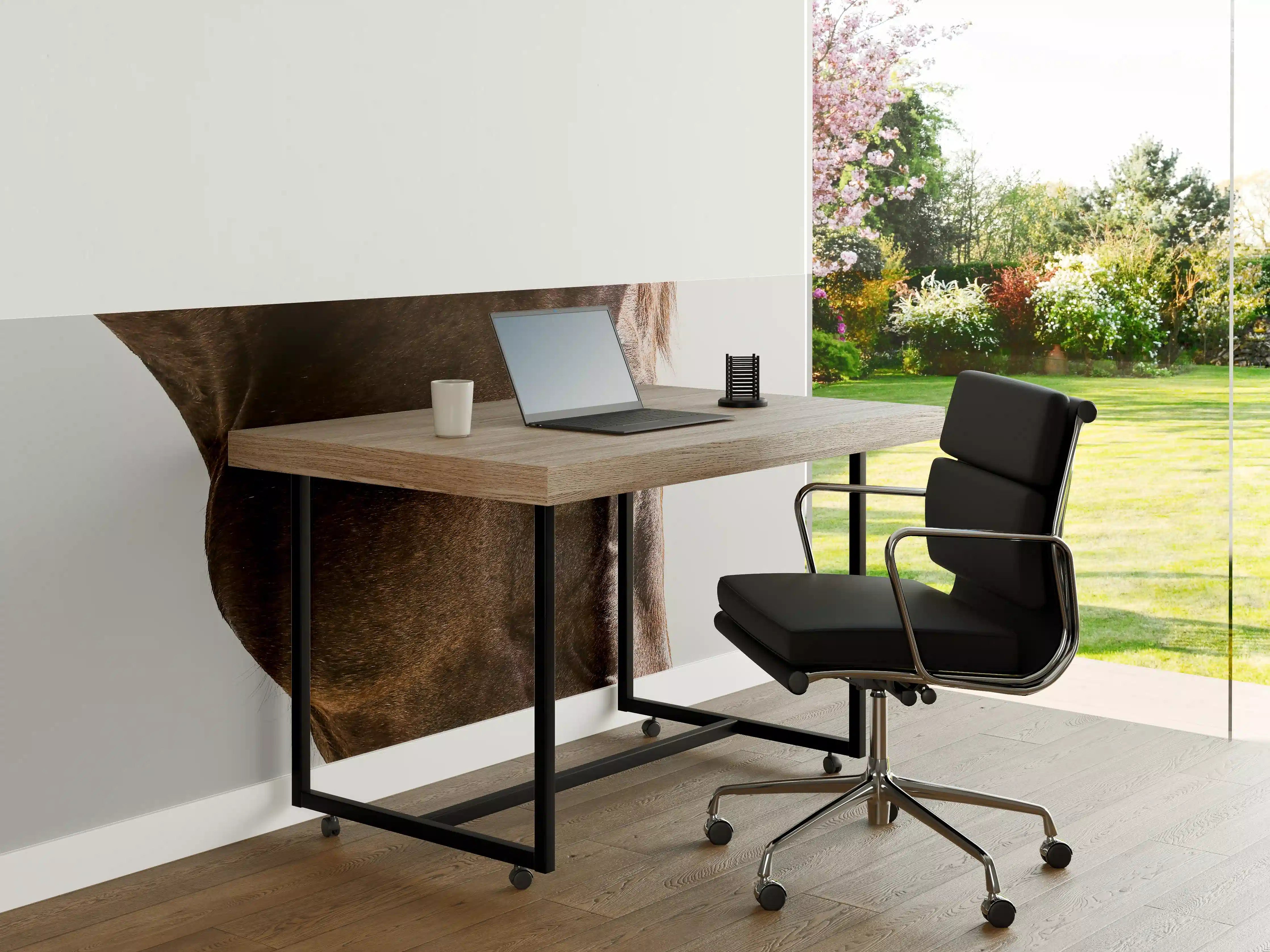 Büro Wandgestaltung - Pferde Auge Makroaufnahme
