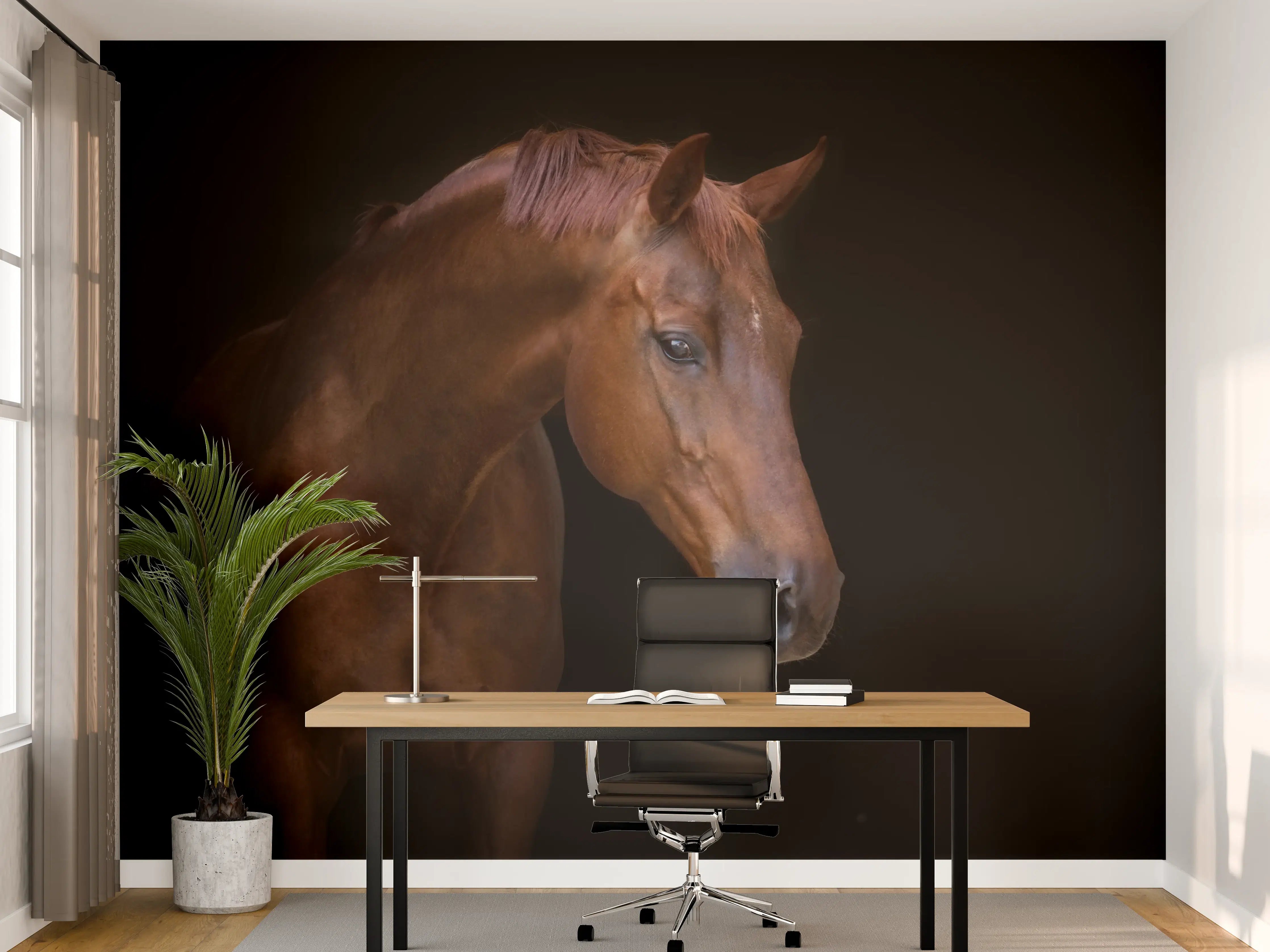 Büro Wandgestaltung - Pferde Porträt auf schwarzem Hintergrund