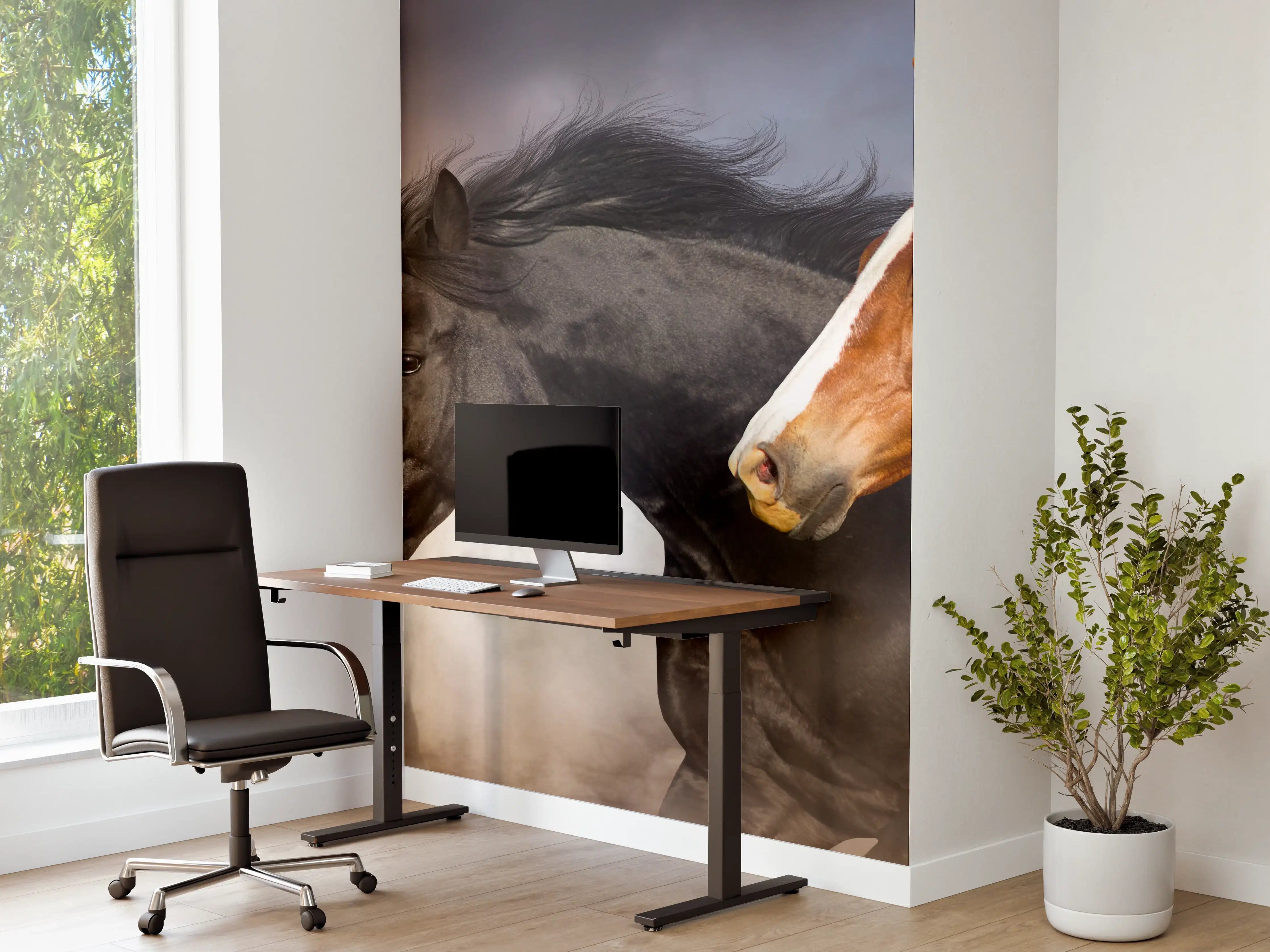 Büro Wandgestaltung - Pferde Portrait - abendlich