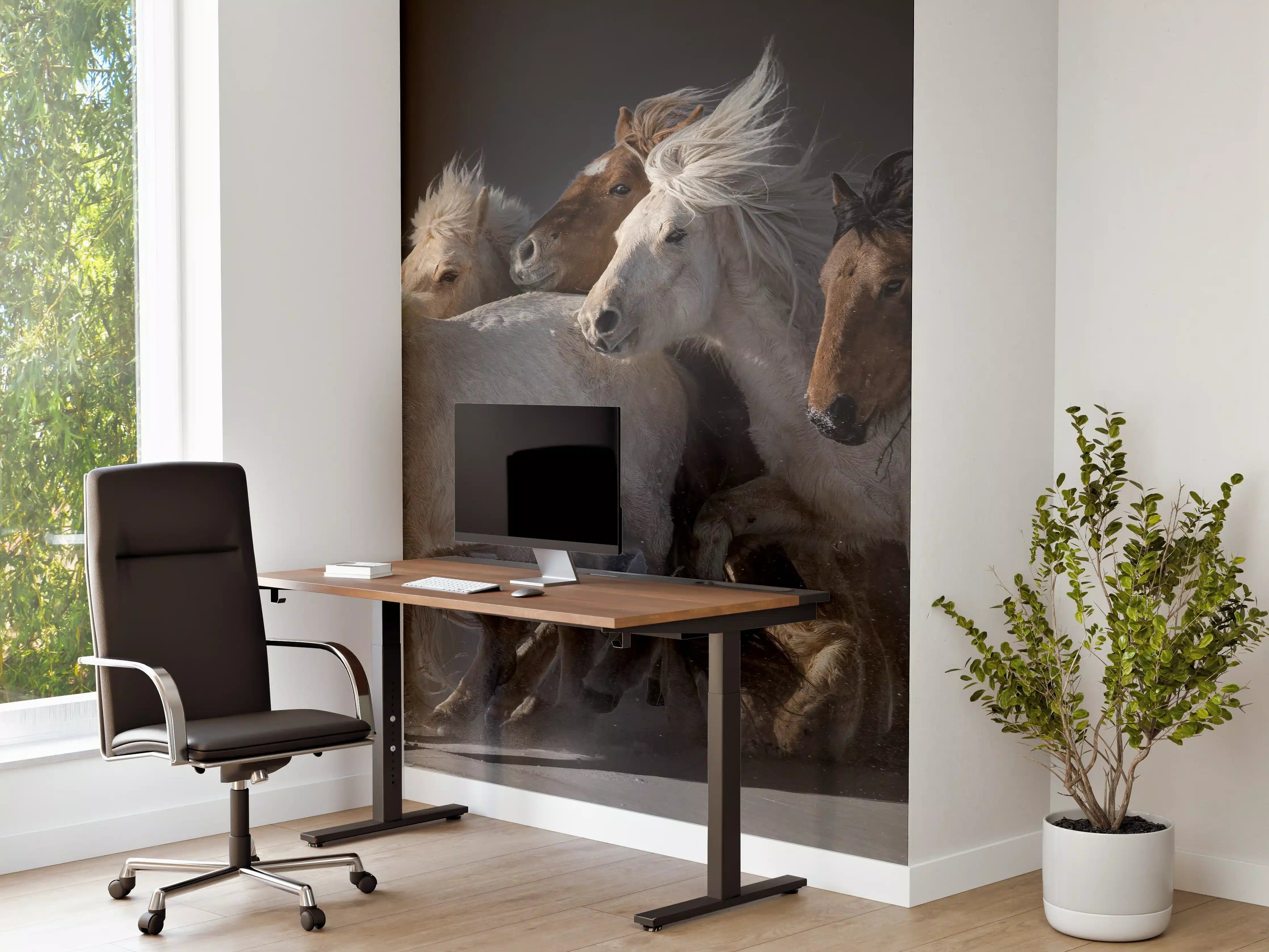 Büro Wandgestaltung - Pferdeherde 