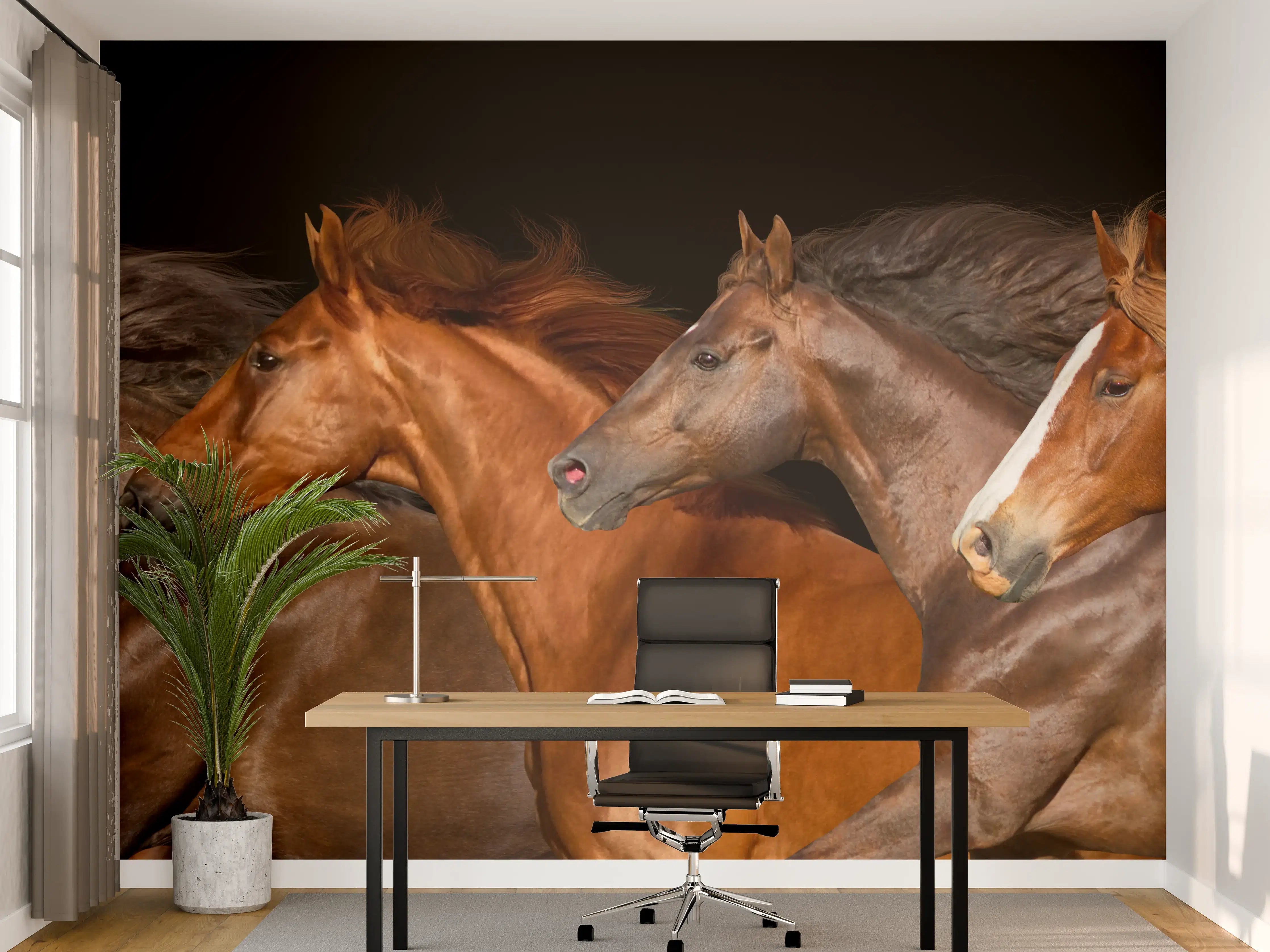Büro Wandgestaltung - Pferdeherde Schwarz Hintergrund