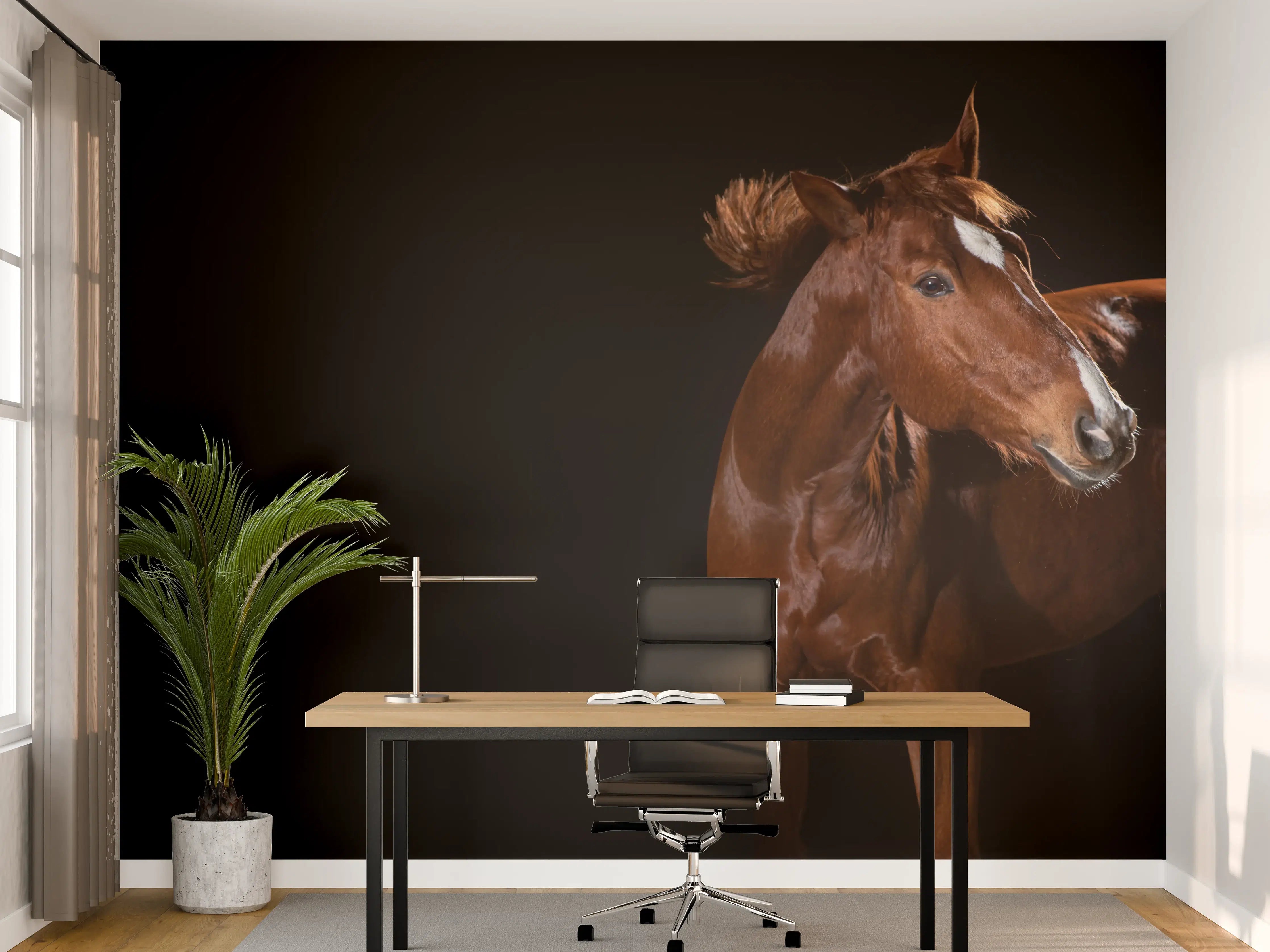 Büro Wandgestaltung - Pferdeporträt auf schwarzem Hintergrund