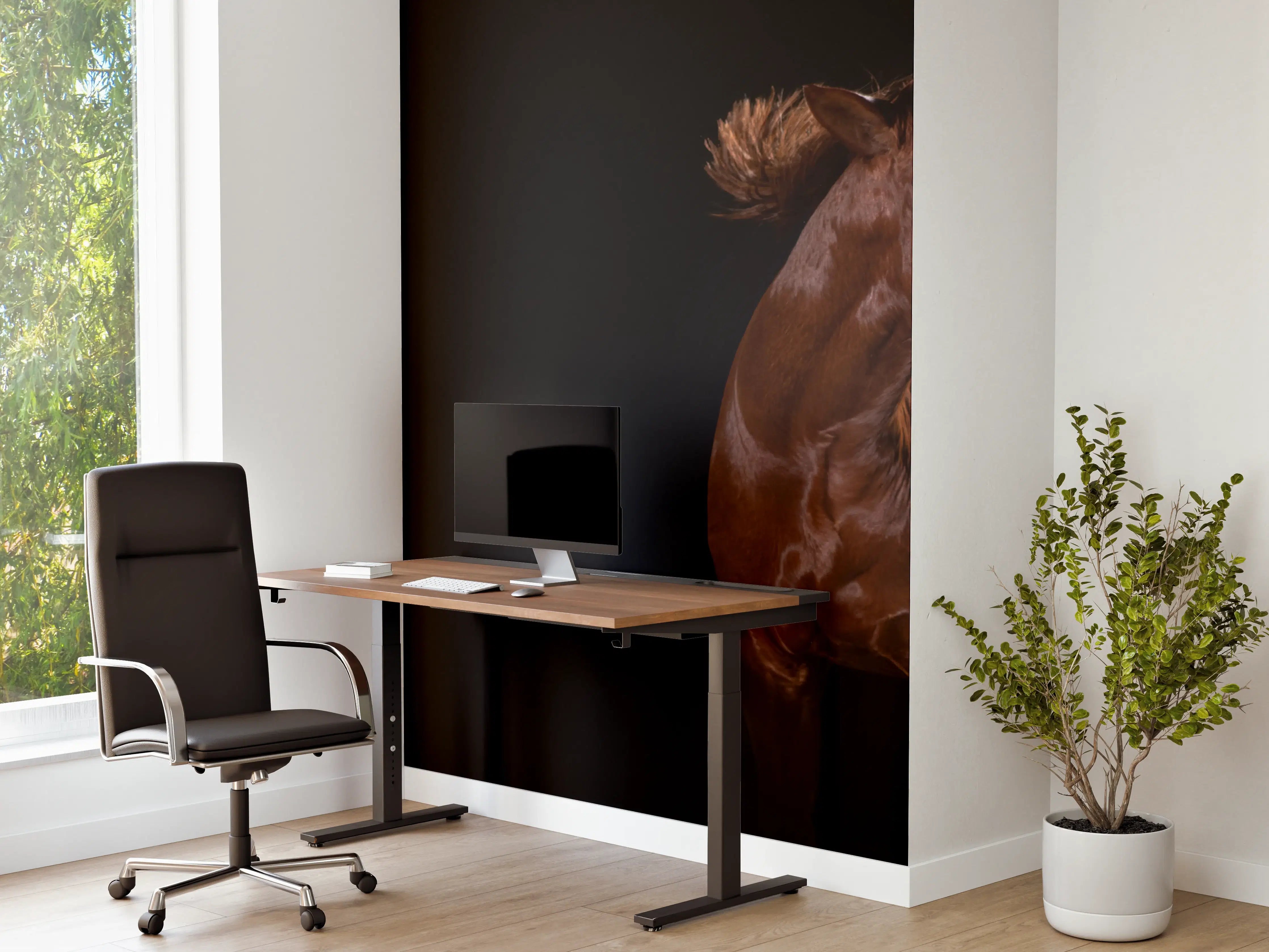 Büro Wandgestaltung - Pferdeporträt auf schwarzem Hintergrund