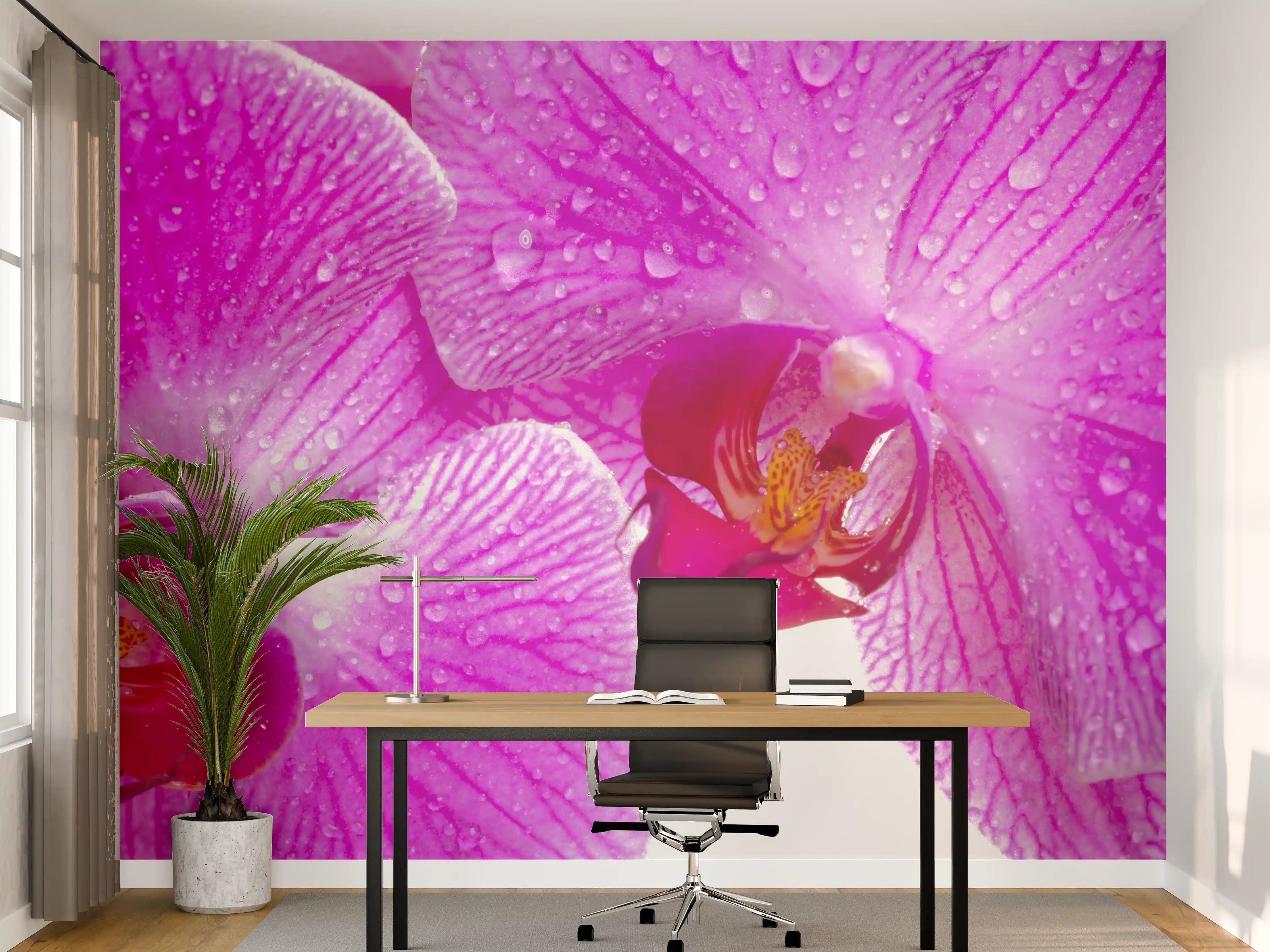 Büro Wandgestaltung - Pinke Orchideen