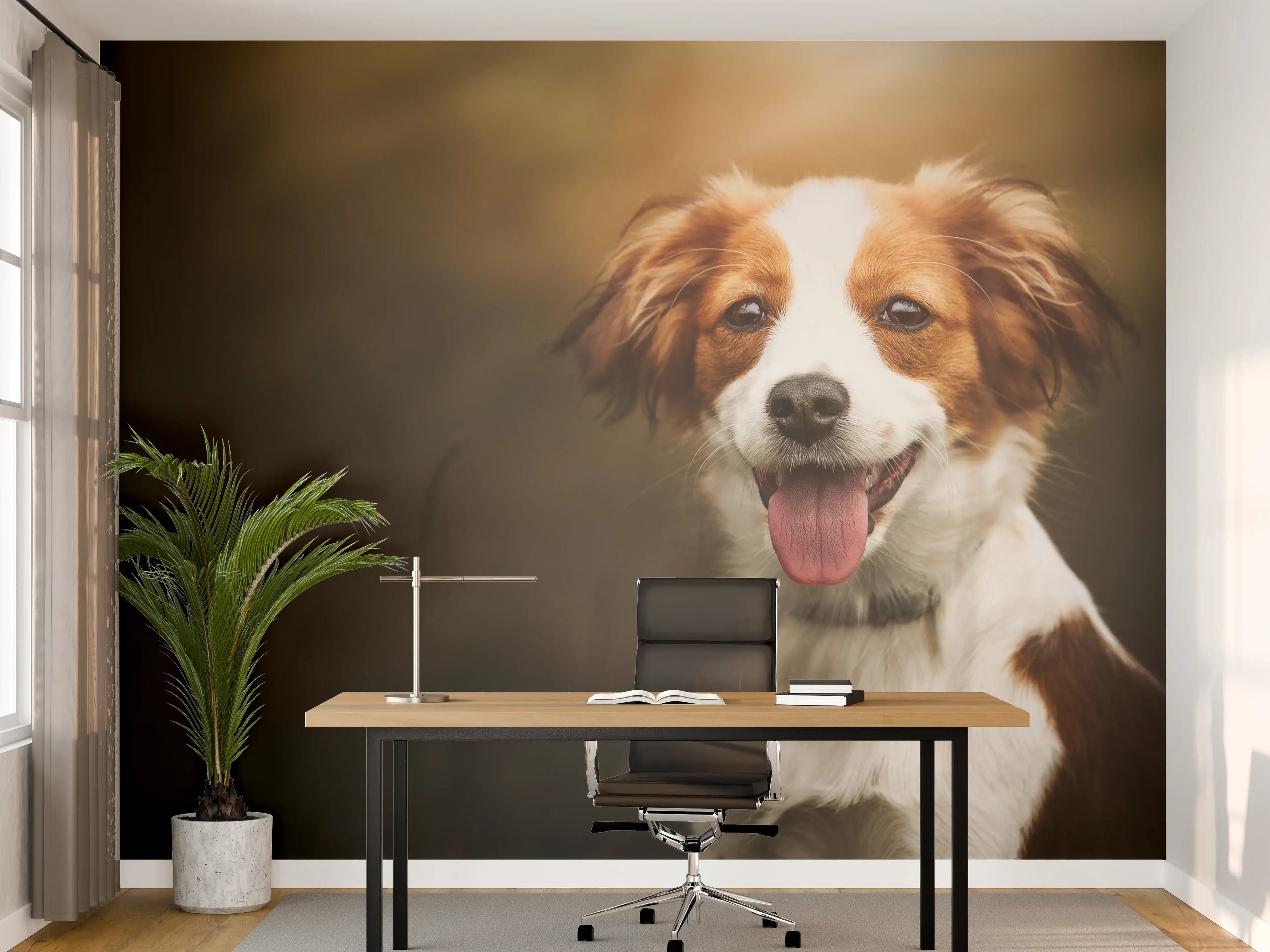 Büro Wandgestaltung - Porträt eines niedlichen Kooiker-Hundes