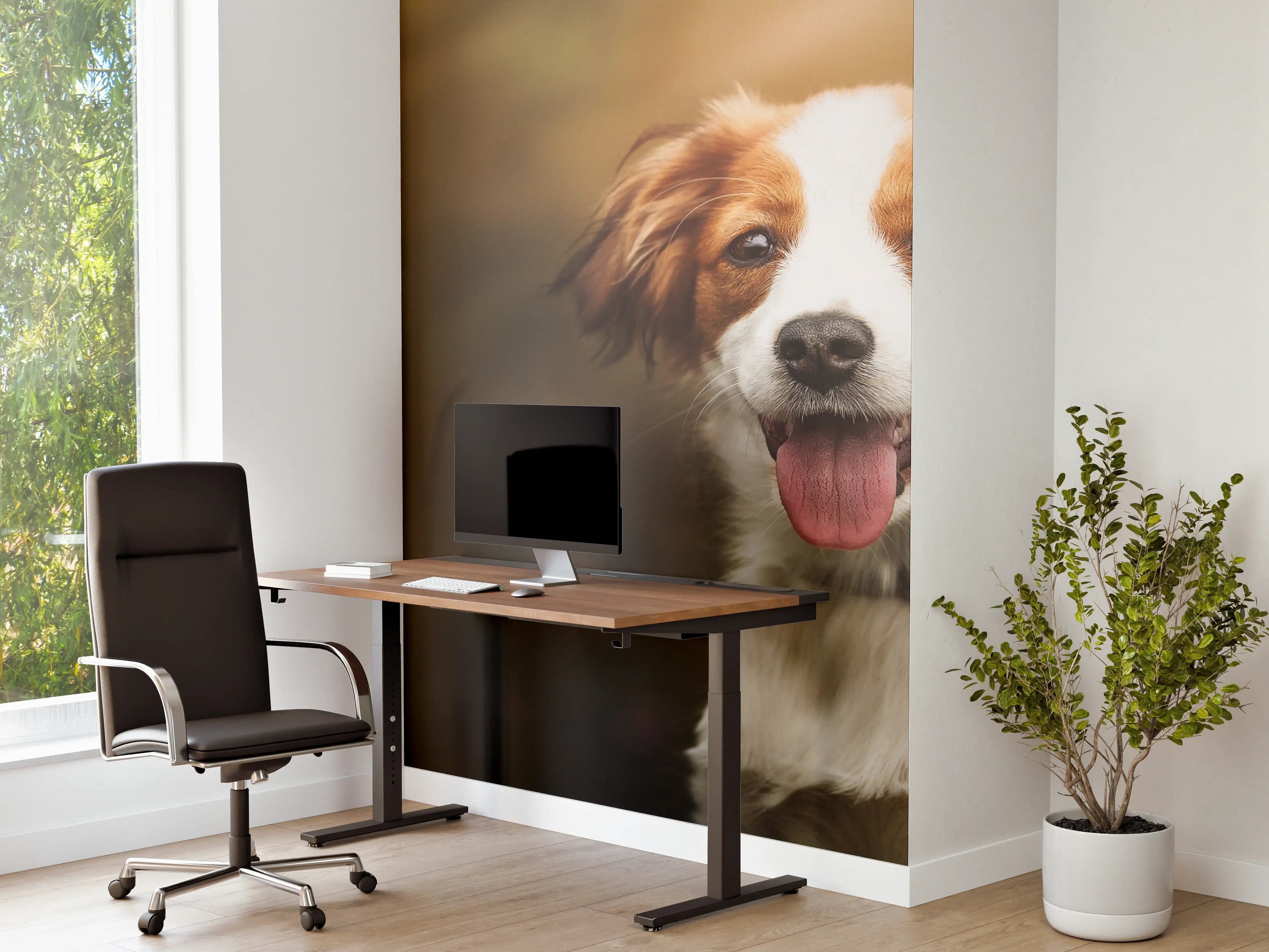 Büro Wandgestaltung - Porträt eines niedlichen Kooiker-Hundes