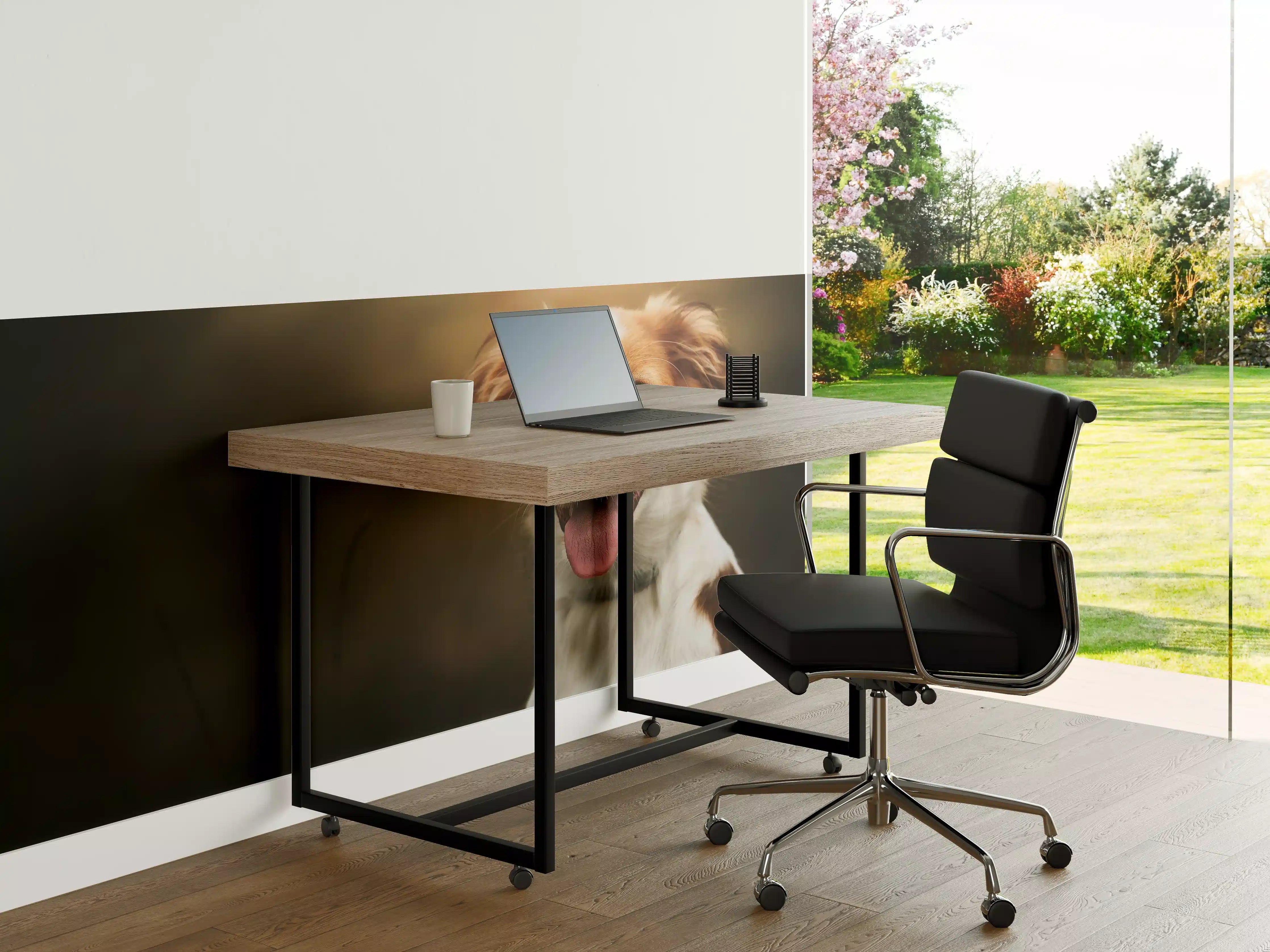 Büro Wandgestaltung - Porträt eines niedlichen Kooiker-Hundes