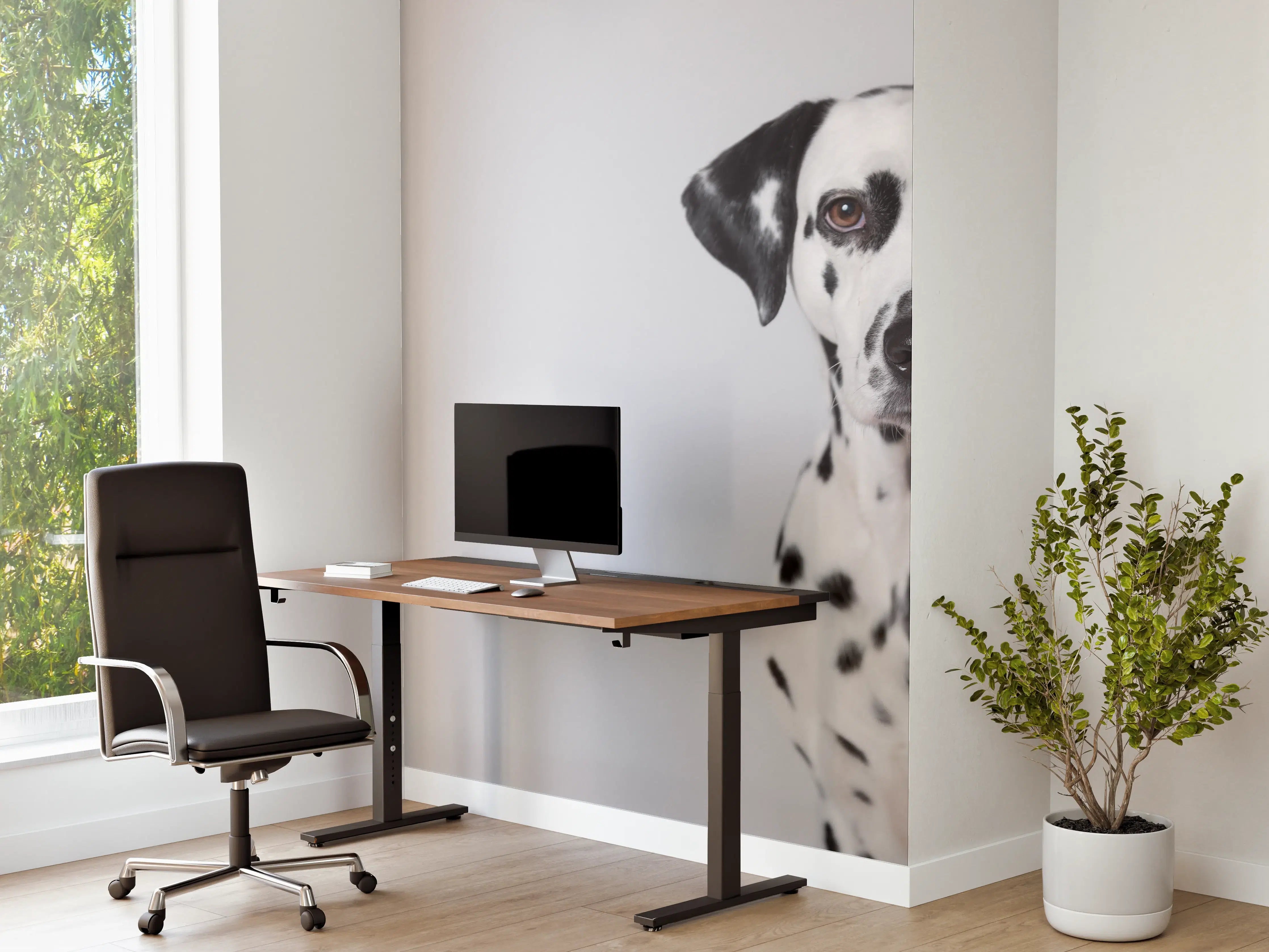 Büro Wandgestaltung - Portrait eines Dalmatiners auf weißem Hintergrund