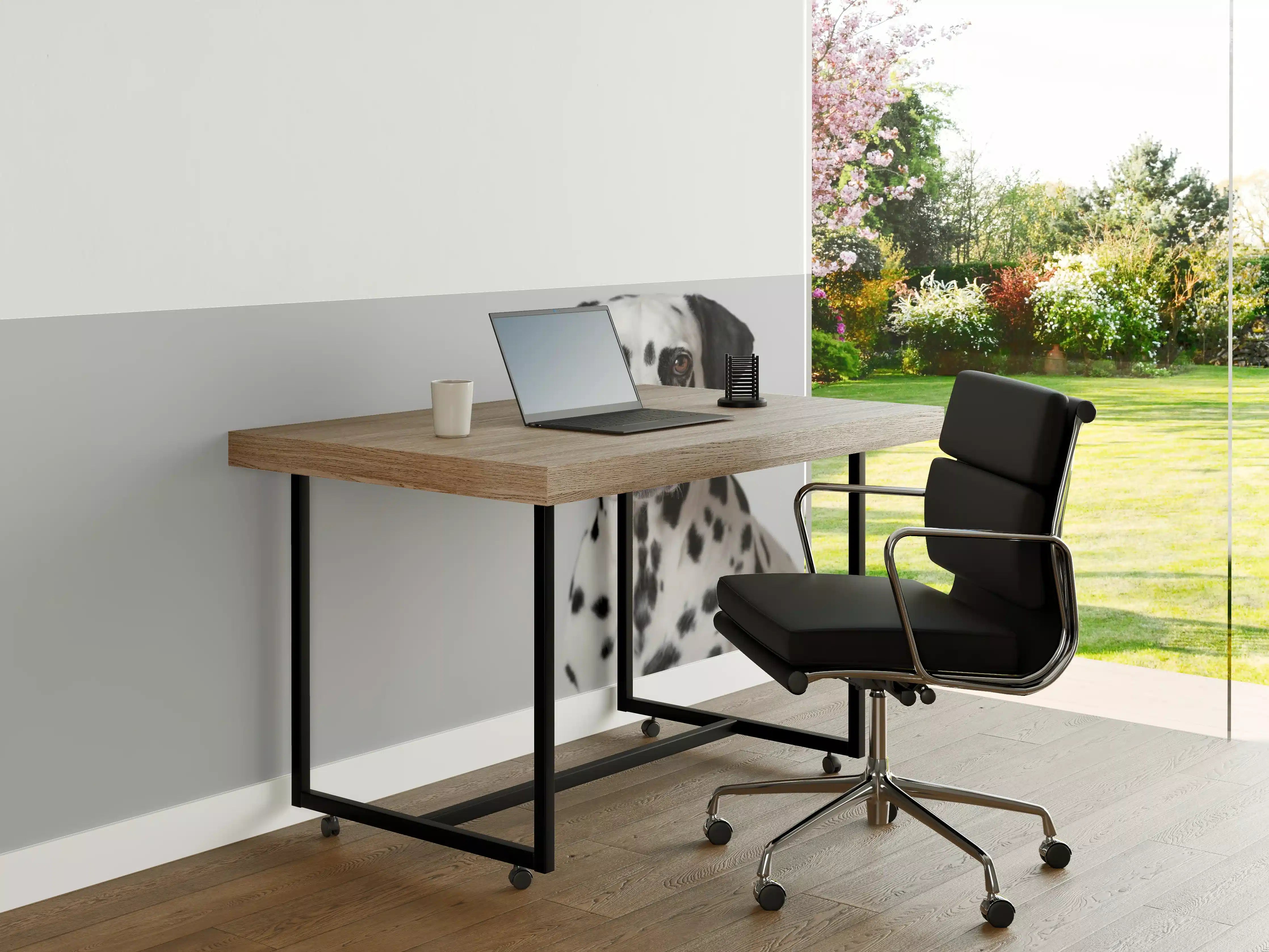 Büro Wandgestaltung - Portrait eines Dalmatiners auf weißem Hintergrund